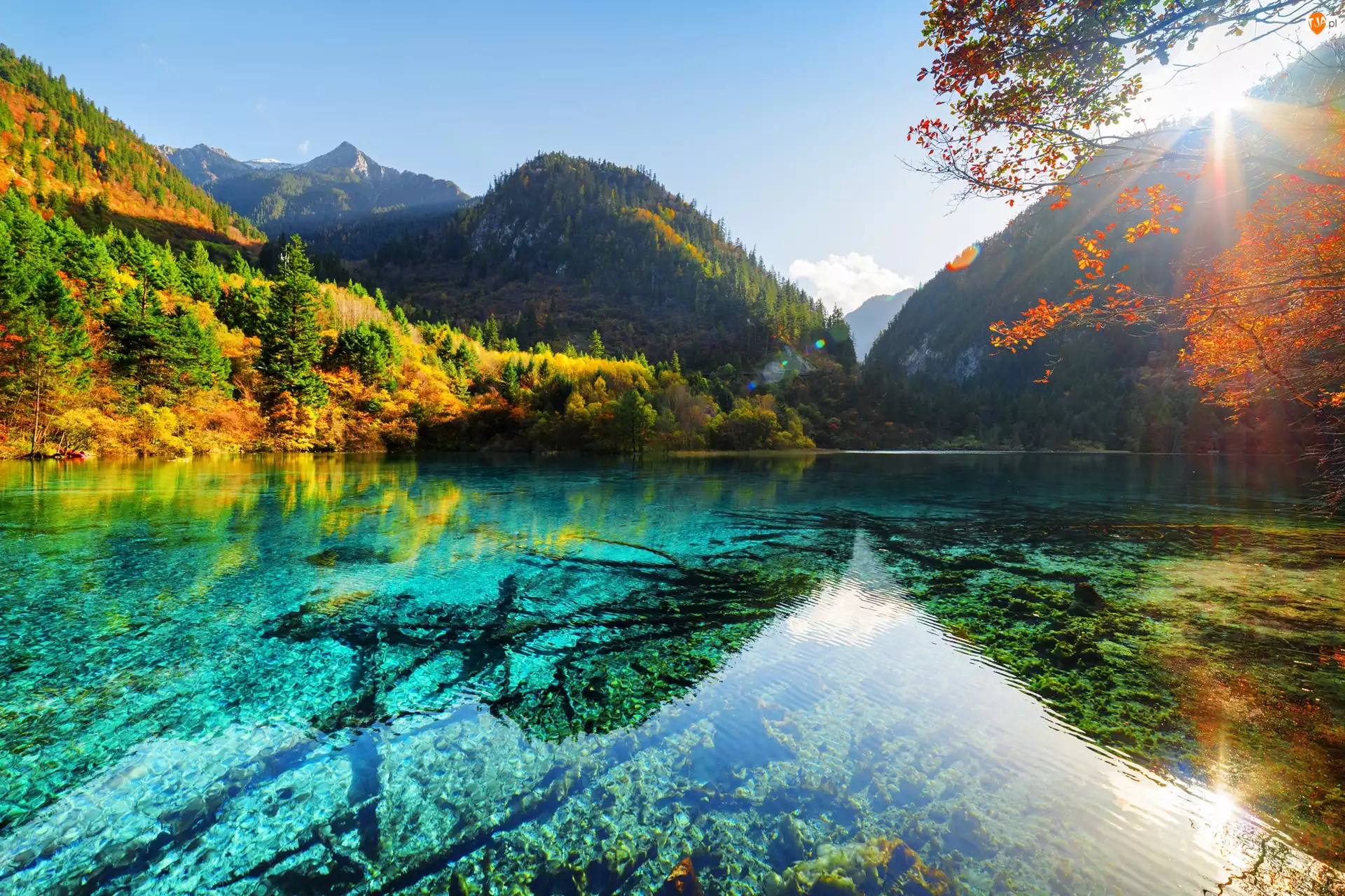 Las, Jesień, Park Narodowy Jiuzhaigou, Chiny, Słońce, Jezioro Pięciu Kwiatów - Wu Hua Hai, Góry