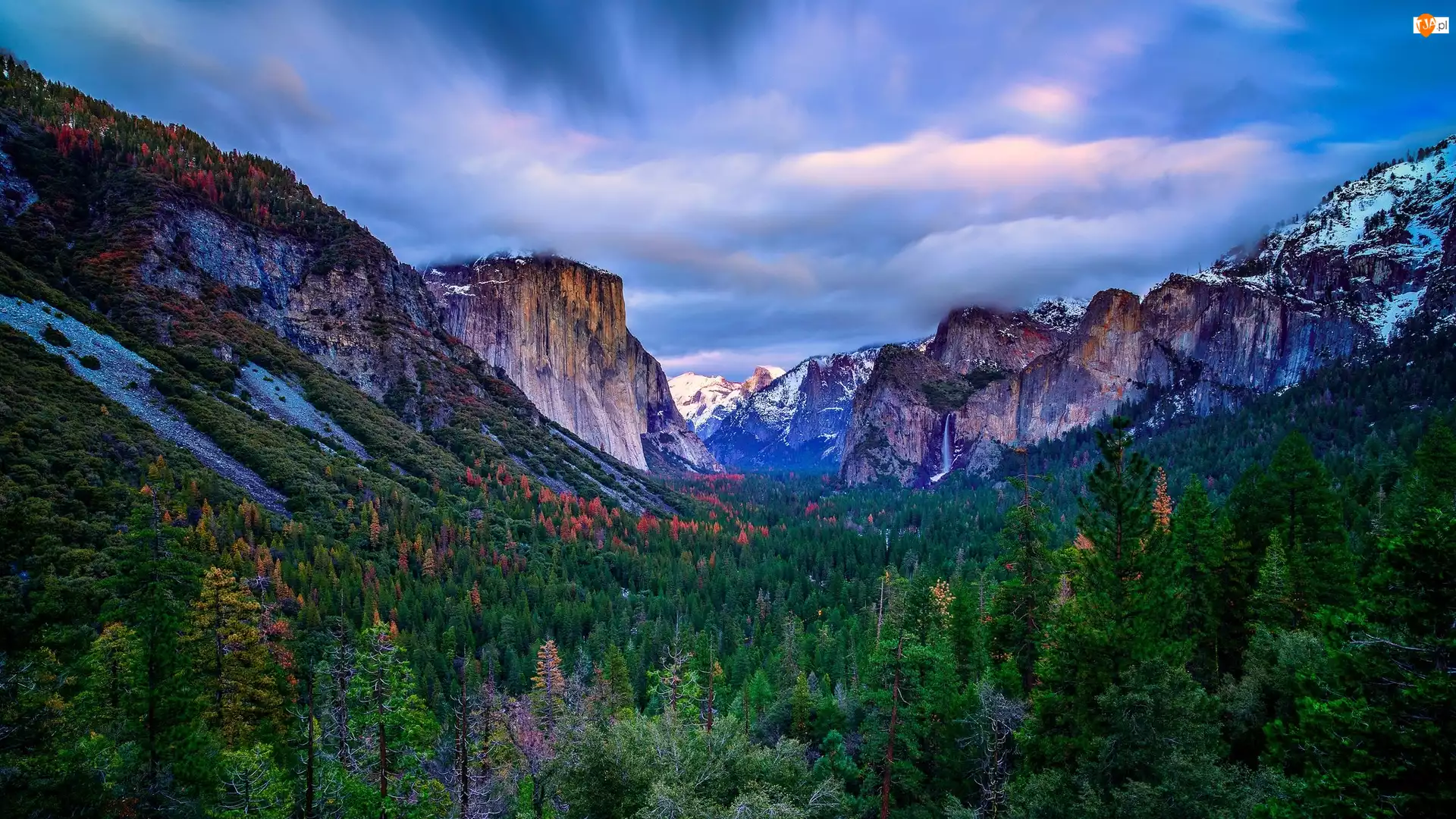 Drzewa, Góry, Kalifornia, Stany Zjednoczone, Mgła, Park Narodowy Yosemite, Las