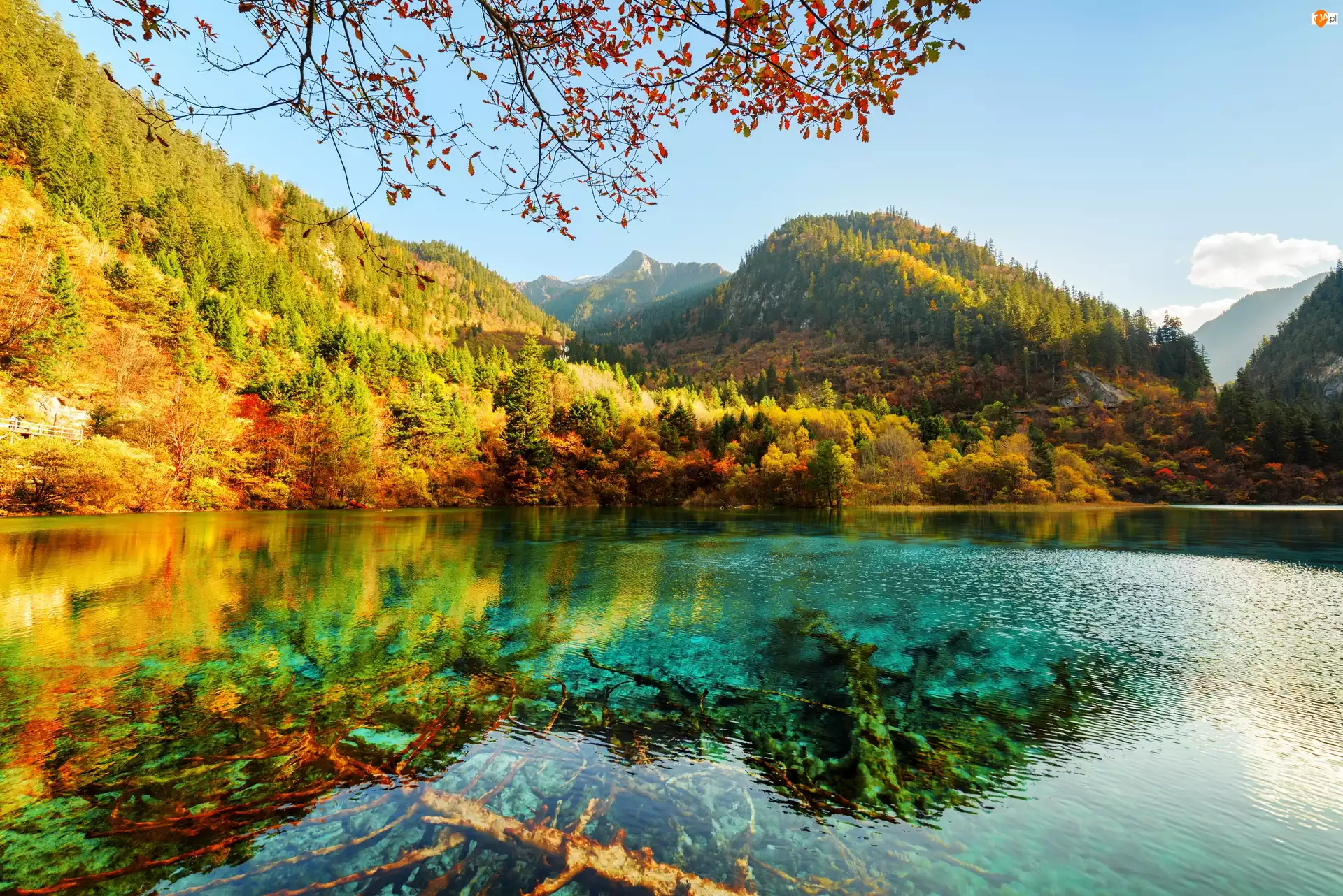 Jezioro Pięciu Kwiatów, Las, Park Narodowy Jiuzhaigou, Chiny, Drzewa, Jesień, Góry