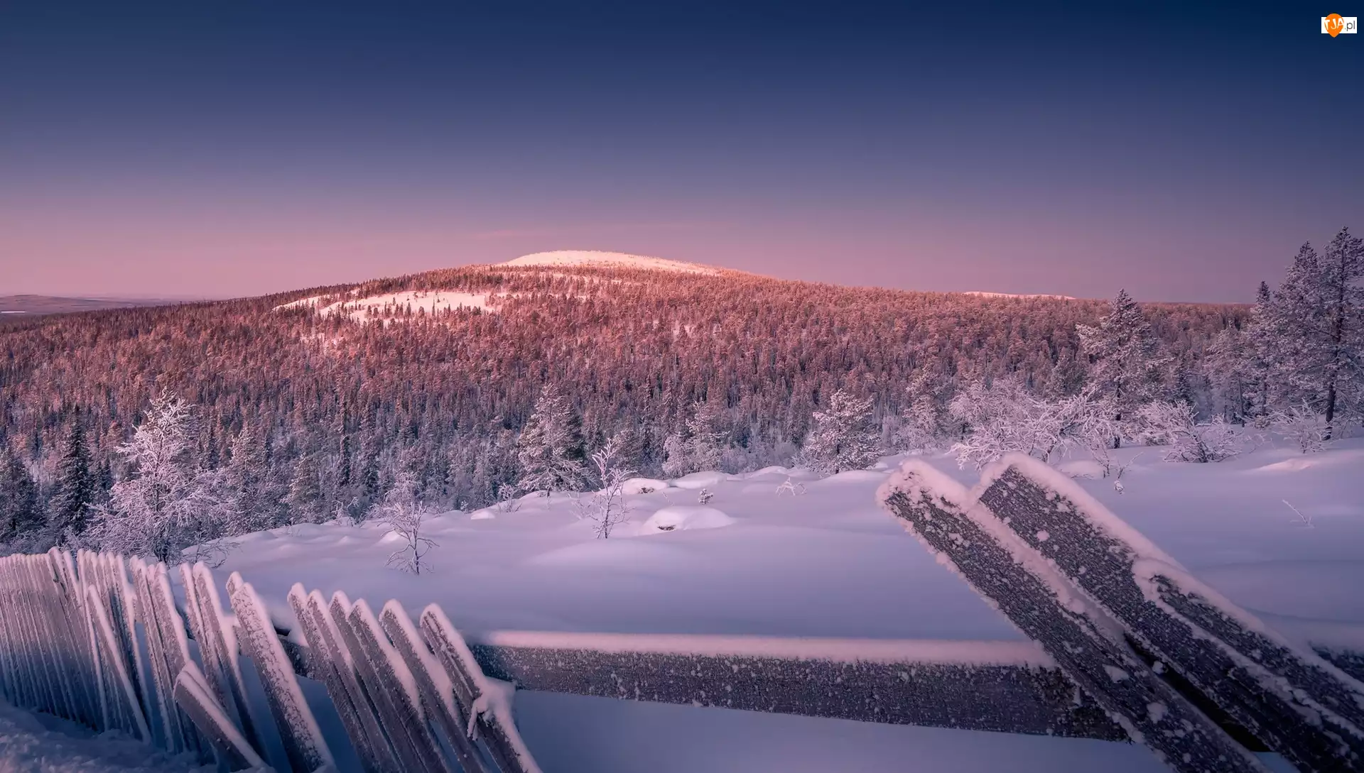 Laponia, Osada Sallatunturi, Drzewa, Finlandia, Ogrodzenie, Wzgórza, Śnieg