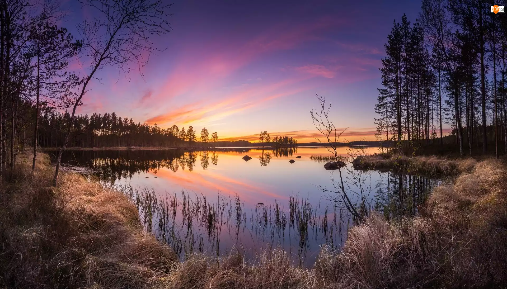Park Narodowy Helvetinjärvi, Drzewa, Finlandia, Zachód słońca, Gmina Ruovesi, Jezioro Haukkajärvi