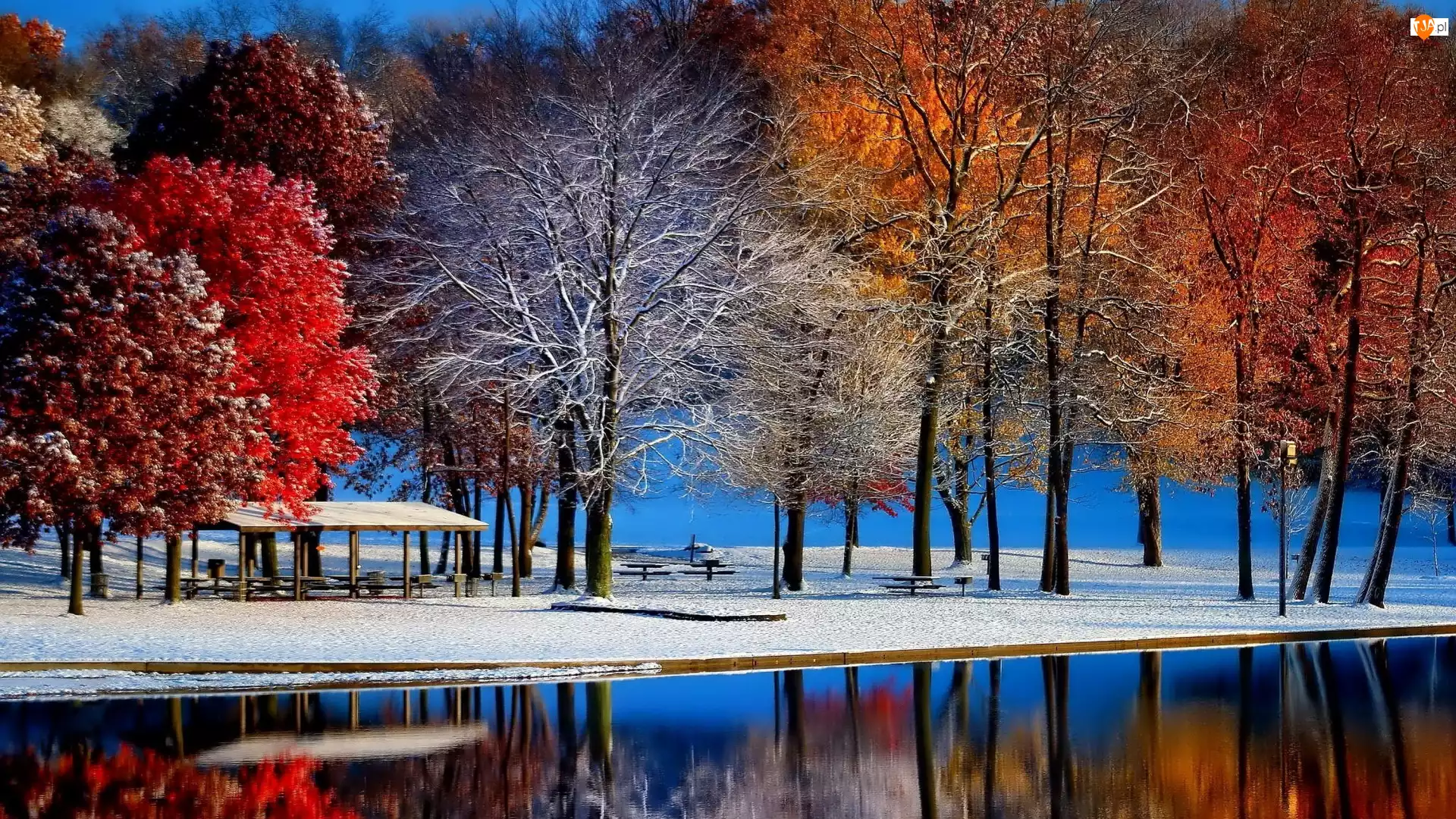Altanka, Jesień, Park, Śnieg, Drzewa
