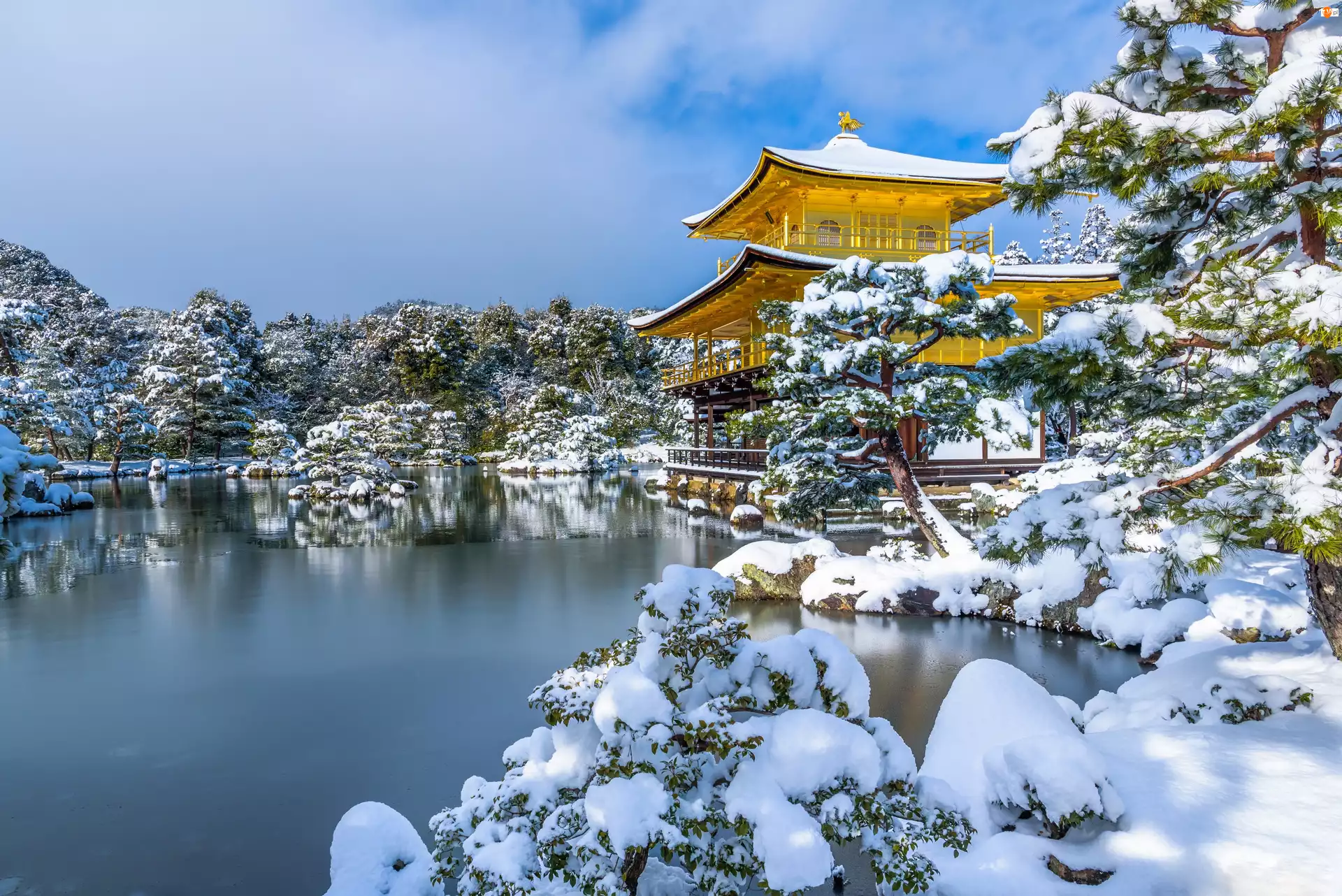 Staw Kyōko-chi, Złoty Pawilon, Kioto, Drzewa, Japonia, Śnieg, Ogród Kyōko-chi Pond, Świątynia buddyjska