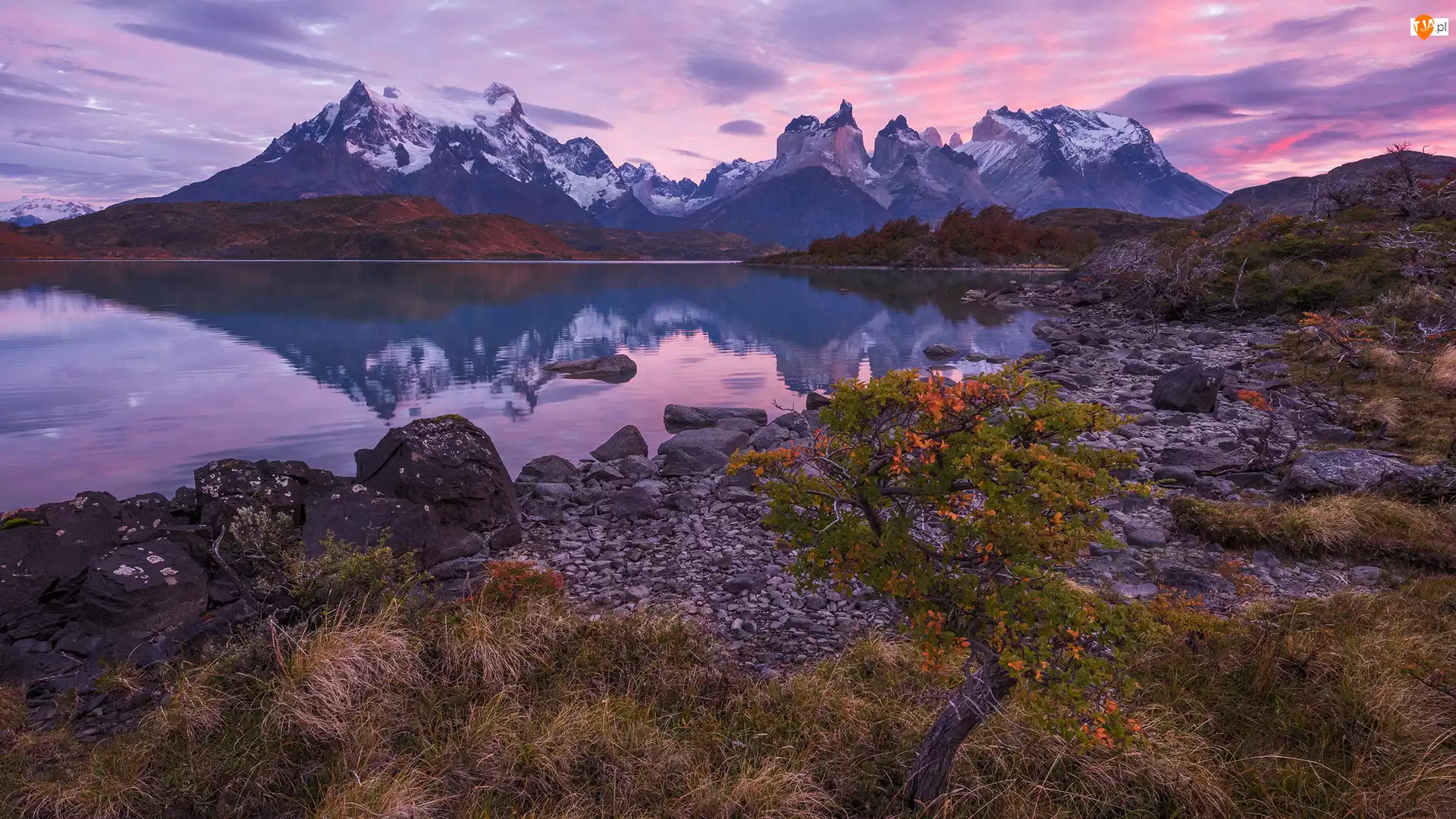 Masyw Torres del Paine, Góry Cordillera del Paine, Park Narodowy Torres del Paine, Wschód słońca, Patagonia, Roślinność, Chile, Brzeg, Jezioro Pehoé, Kamienie
