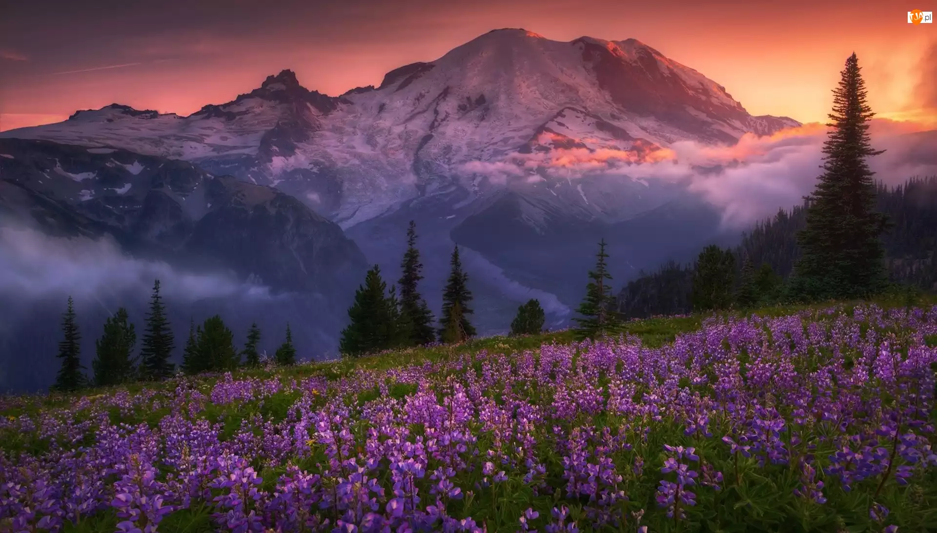Mgła, Stratowulkan Mount Rainier, Zachód słońca, Stan Waszyngton, Park Narodowy Mount Rainier, Stany Zjednoczone, Góry, Góry Kaskadowe, Łubin