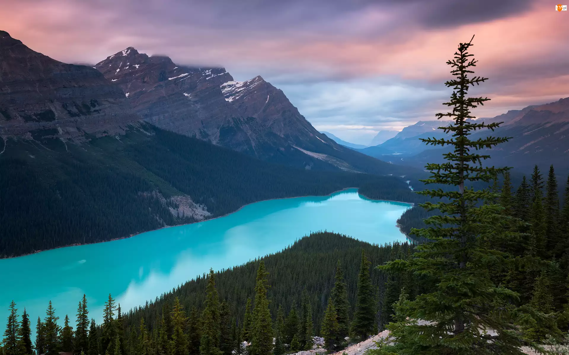 Góry Canadian Rockies, Las, Kanada, Chmury, Park Narodowy Banff, Jezioro Peyto Lake