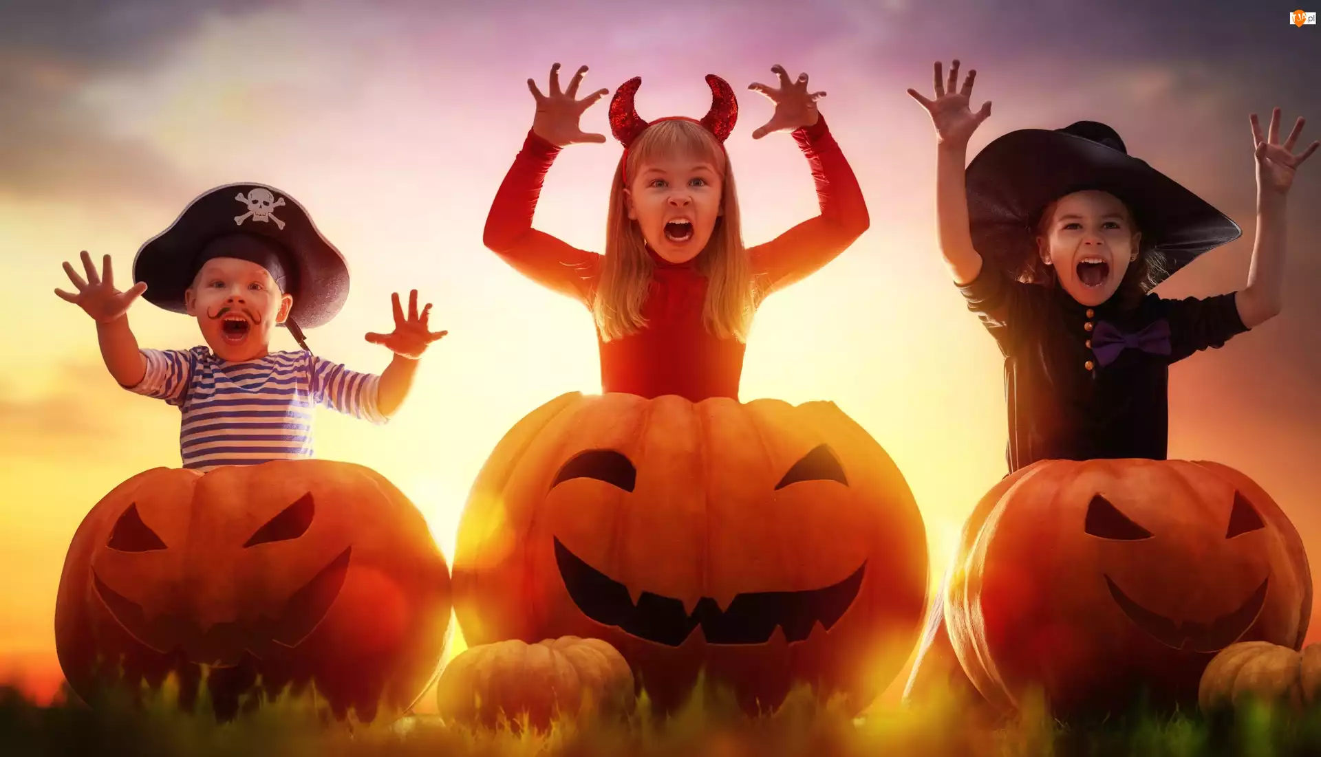 Dynie, Halloween, Dzieci
