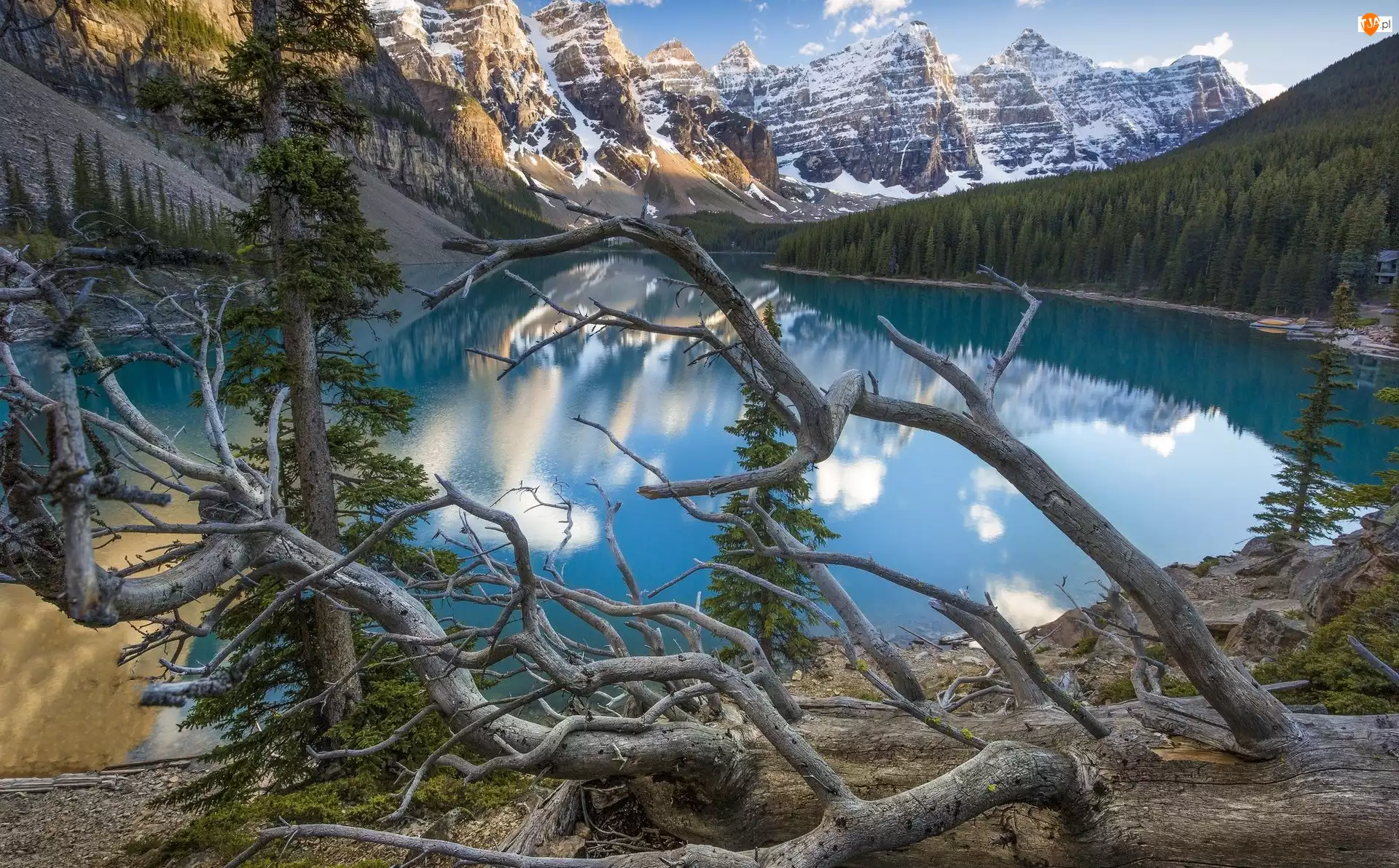 Jezioro Moraine, Góry, Prowincja Alberta, Powalone, Kanada, Drzewa, Park Narodowy Banff, Jezioro