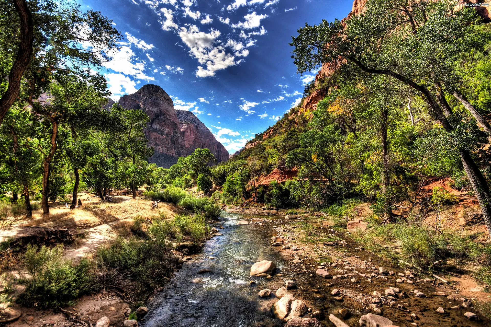 Park Narodowy Zion, Rzeka, Stany Zjednoczone, Las, Stan Utah, Góry