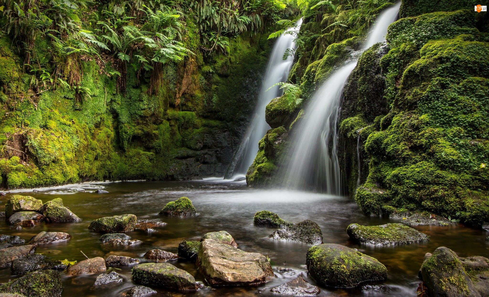 Park Narodowy Dartmoor, Las, Anglia, Kamienie, Hrabstwo Devon, Wodospad