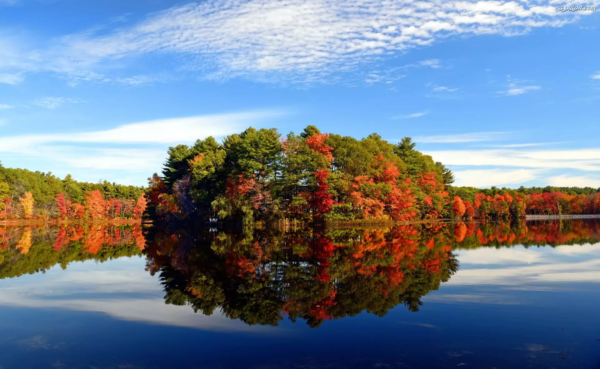 Walpole, Drzewa, Stany Zjednoczone, Jesień, Stan Massachusetts, jezioro Turner Pond