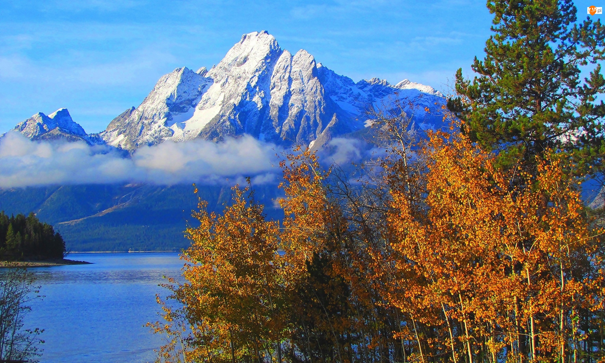 Drzewa, Góry, Stan Wyoming, Stany Zjednoczone, Jezioro Jackson Lake, Park Narodowy Grand Teton, Szczyt Mount Moran