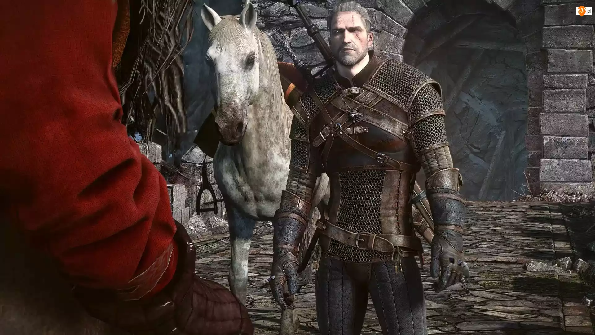 Koń, Wiedźmin 3 : Dziki Gon, Geralt z Rivii