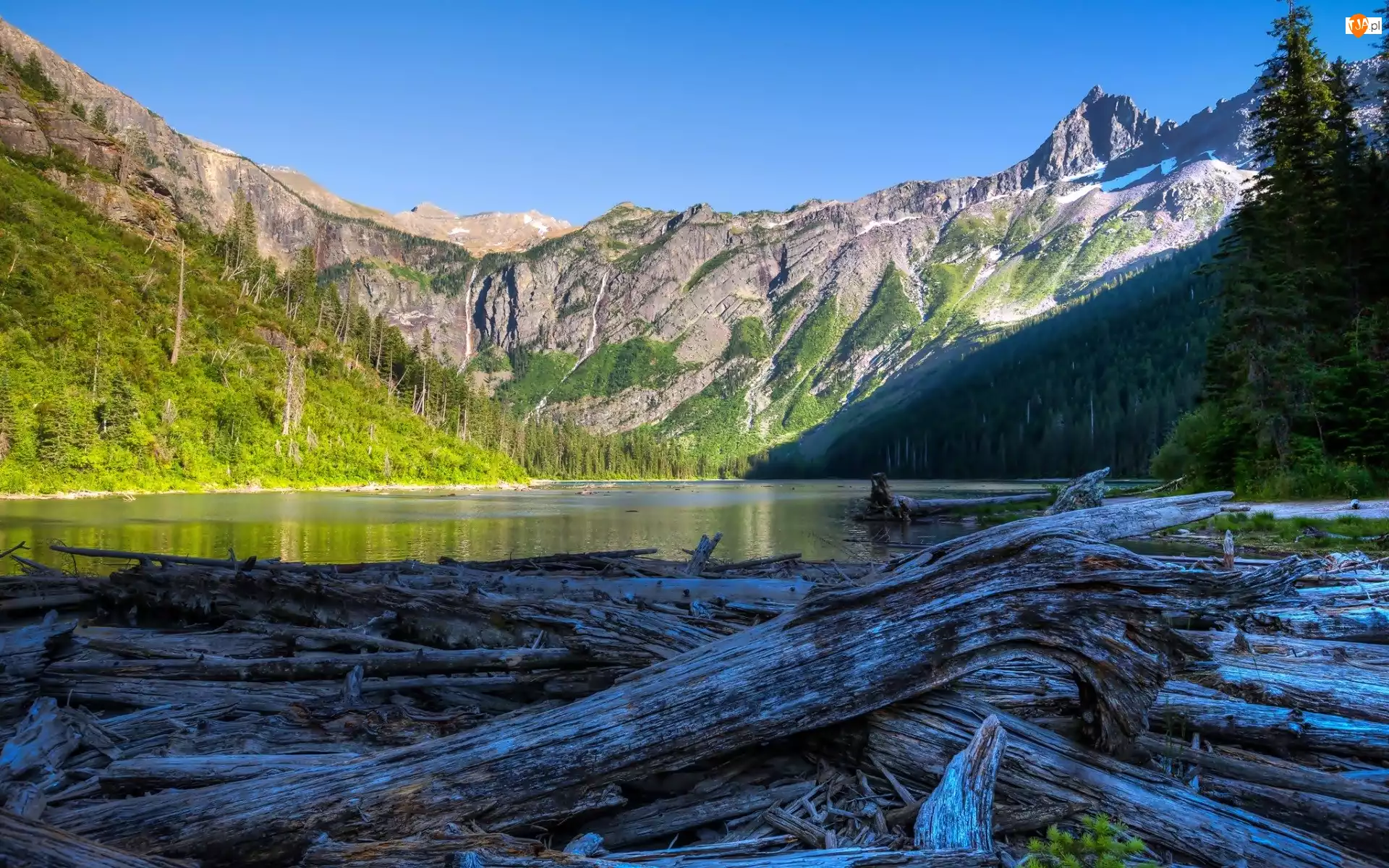 Park Narodowy Glacier, Góry, Stany Zjednoczone, Kłody, Stan Montana, Jezioro Avalanche