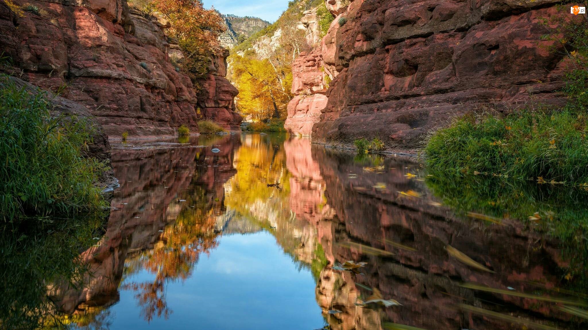 Wąwóz Oak Creek Canyon, Skały, Stan Arizona, Rośliny, Stany Zjednoczone, Odbicie, Sedona, Rzeka