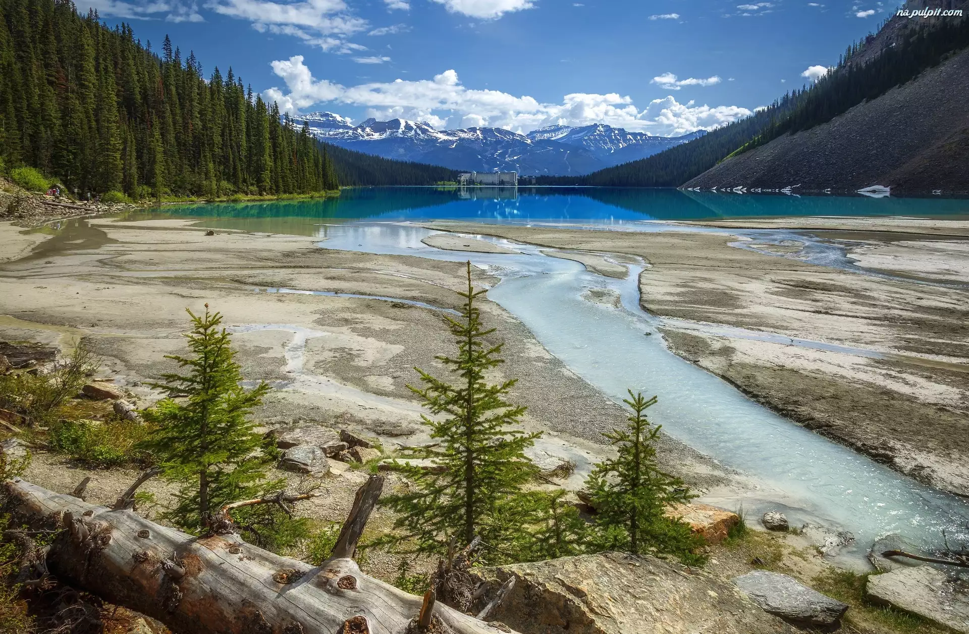 Kamienie, Miejscowość Lake Louise, Drzewa, Alberta, Jezioro Lake Louise, Kanada, Góry, Park Narodowy Banff, Hotel Chateau Lake Louise