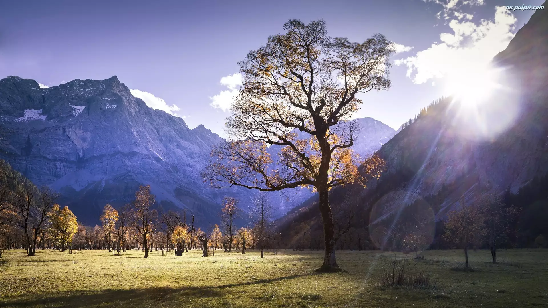 Drzewa, Pastwisko alpejskie Großer Ahornboden, Alpejski Park Krajobrazowy Karwendel, Łąka, Góry Karwendel, Drzewa, Austria, Promienie, Dolina Rißtal, Słońce