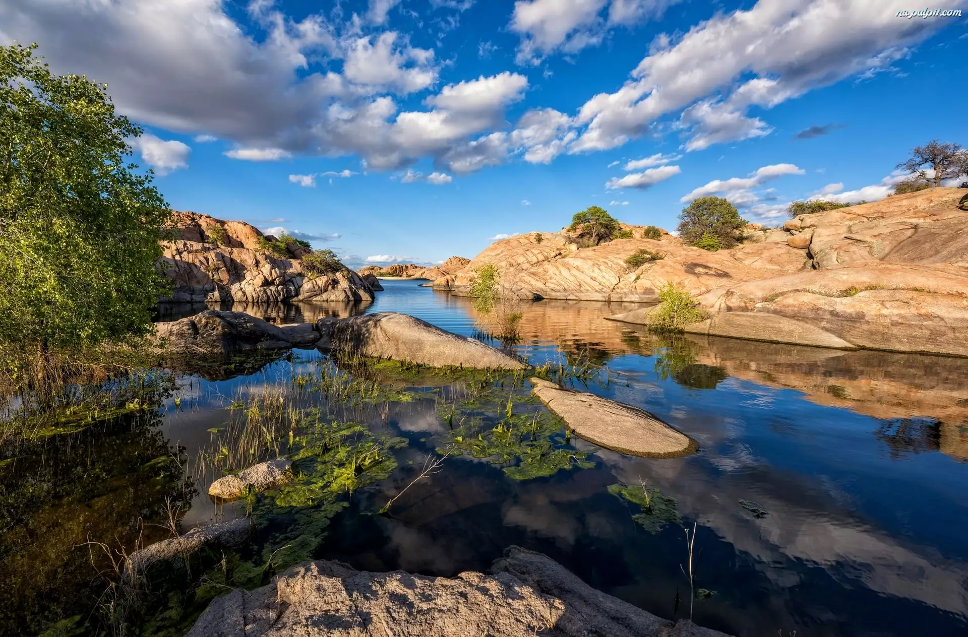 Jezioro Willow Lake, Góry, Stan Arizona, Rzeka, Stany Zjednoczone, Rośliny, Formacje skalne Granit Dells, Skały