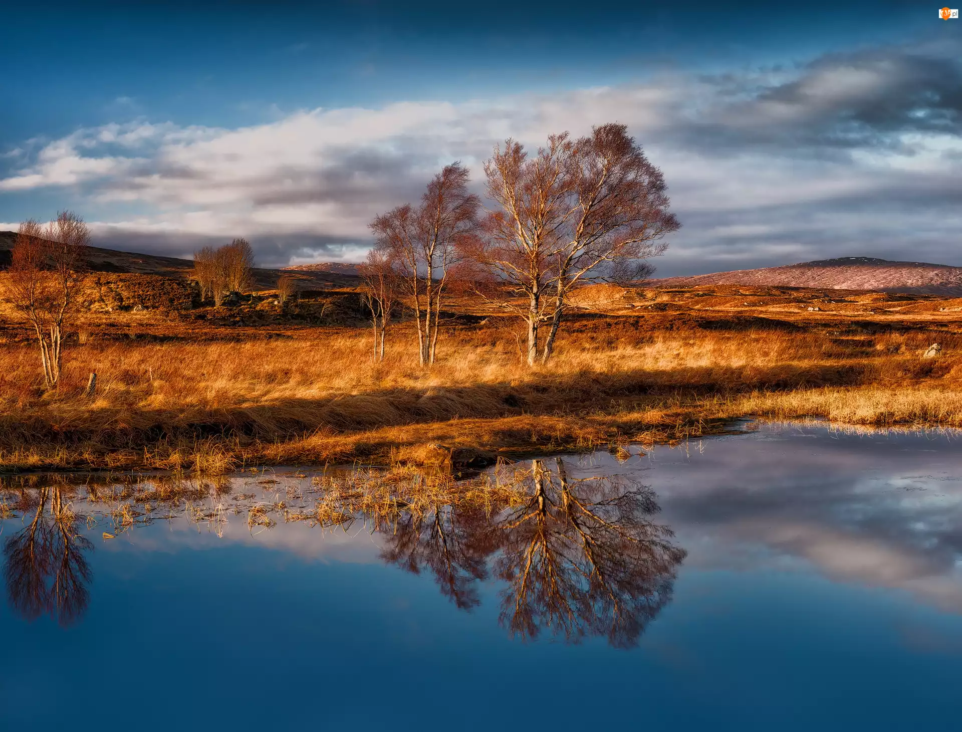 Góry Rannoch Moor, Jesień, Szkocja, Drzewa, Region Highlands, Jezioro Loch Bà