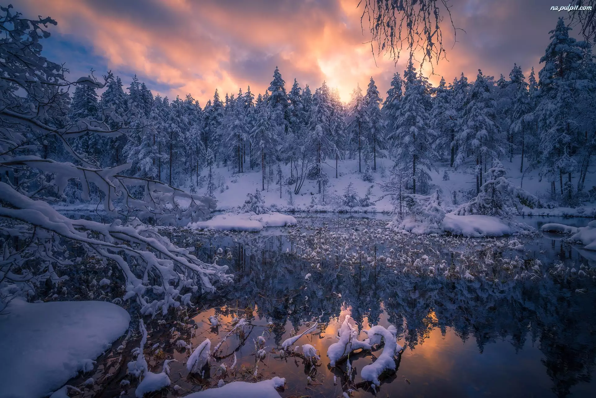 Staw, Norwegia, Zima, Śnieg, Gmina Ringerike, Drzewa