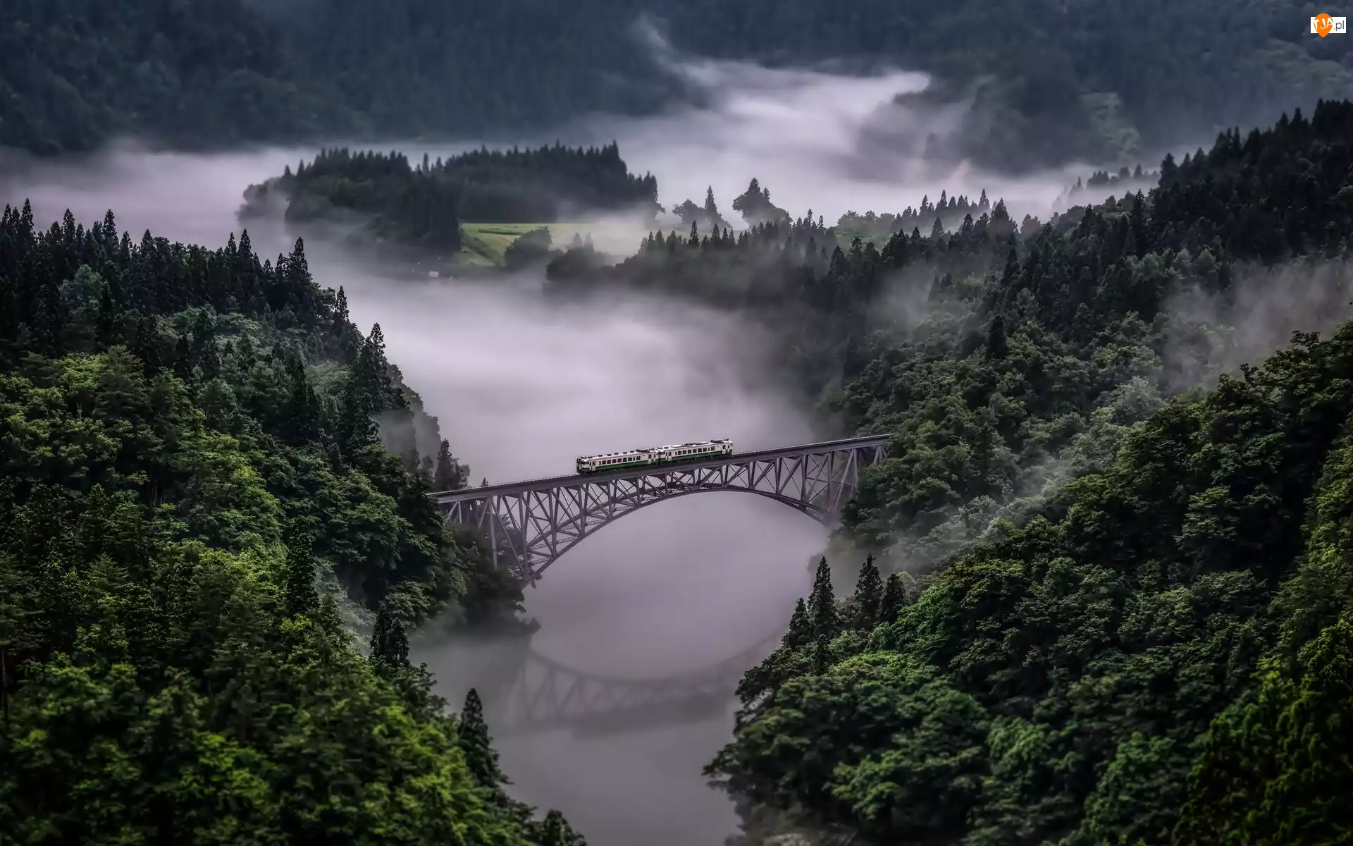 Mgła, Prefektura Fukushima, Drzewa, Pociąg, Lasy, Prefektura Niigata, Most Tadami River Bridge, Japonia, Rzeka Tadami