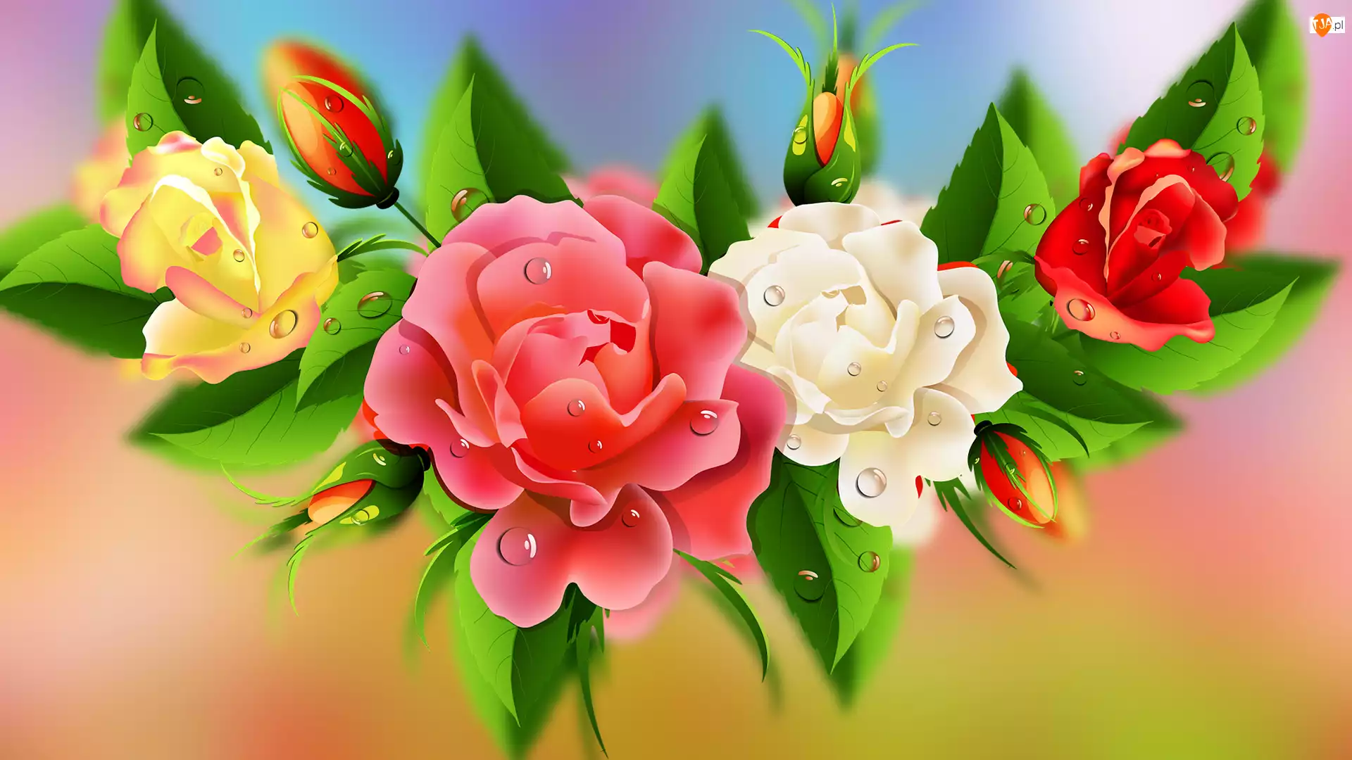 2D, Kwiaty, Róże