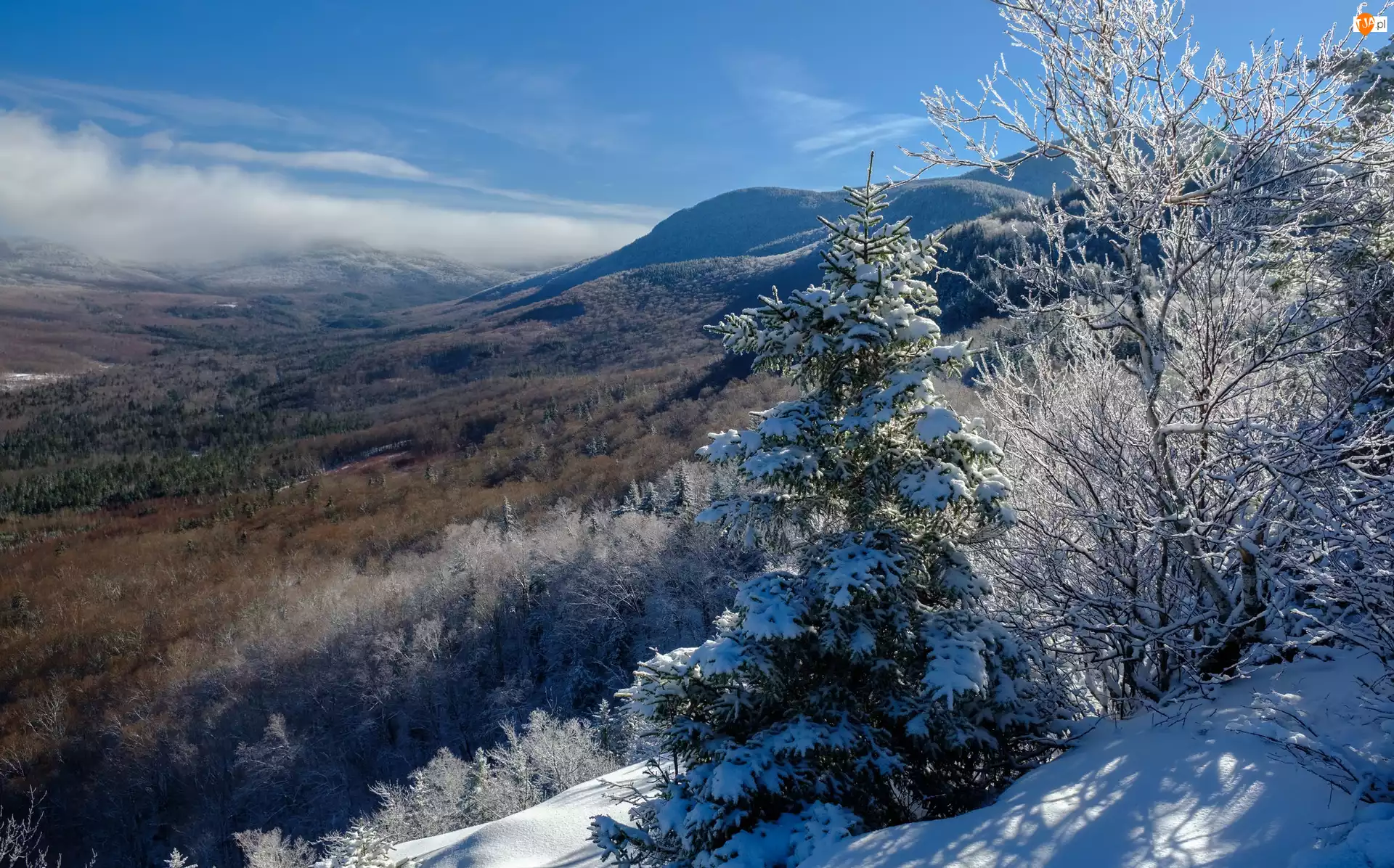 Niebo, Stan New Hampshire, Śnieg, Wzgórza, Drzewa, Góry Appalachy, Góry Białe, Stany Zjednoczone, Zima