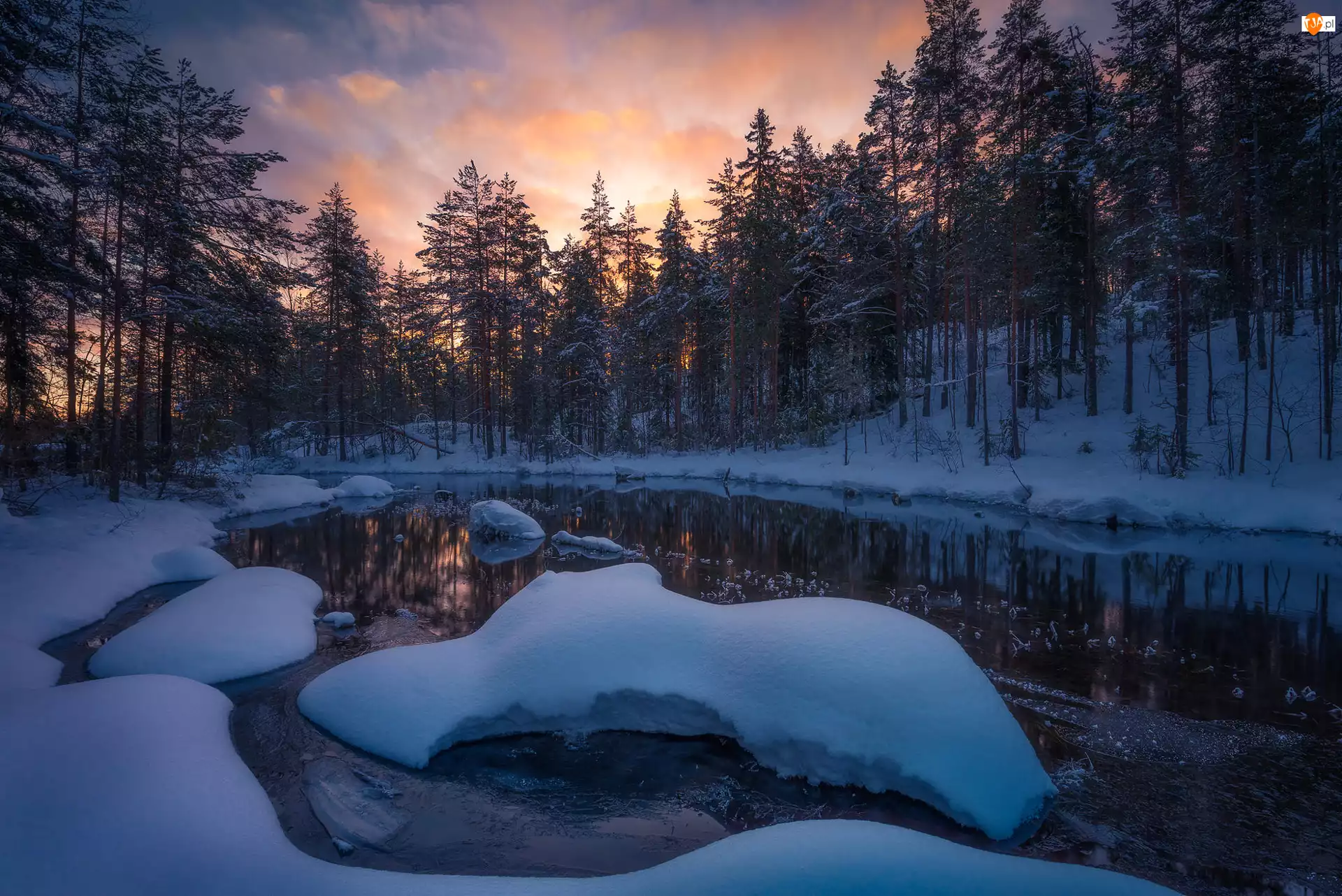 Gmina Ringerike, Norwegia, Zima, Jezioro, Drzewa, Śnieg