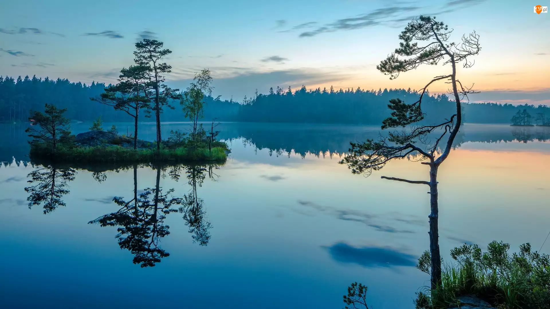 Jezioro, Wschód Słońca, Szwecja, Drzewa, Park Narodowy Tyresta, Wysepka