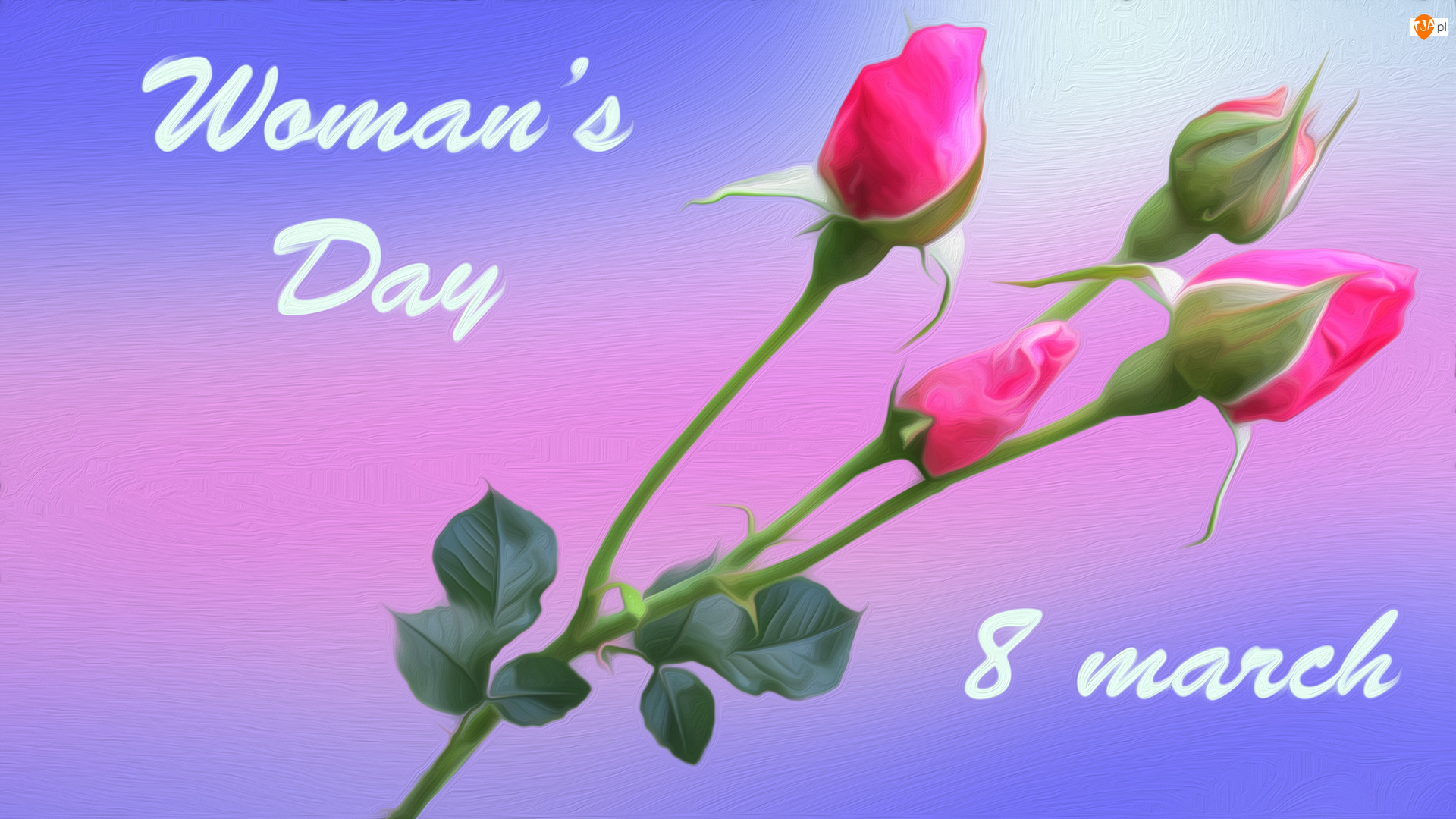 Dzień Kobiet, Róże