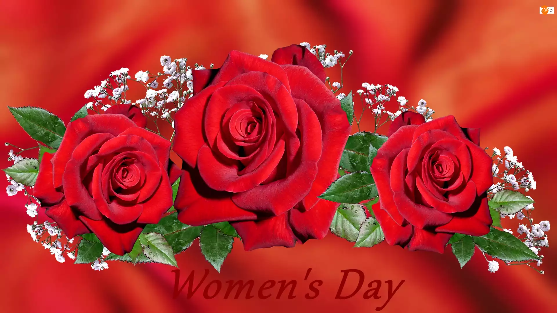 Róże, Dzień Kobiet, Kwiaty, Czerwone