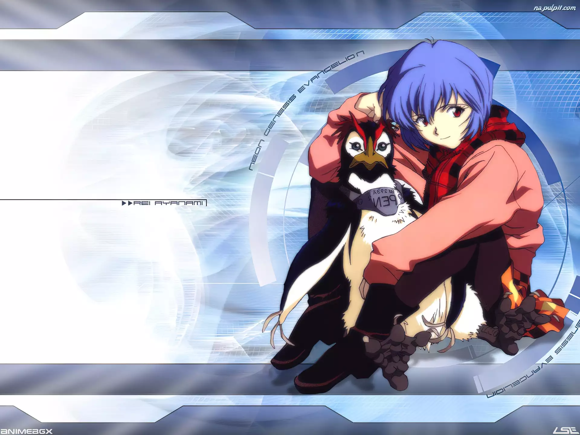 człowiek, Neon Genesis Evangelion, pingwin