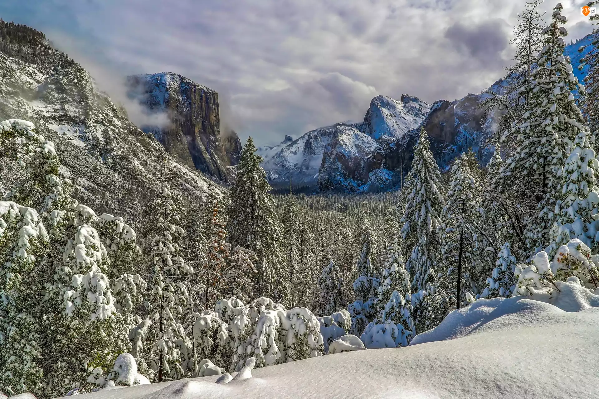Góry, Dolina Yosemite Valley, Stany Zjednoczone, Drzewa, Park Narodowy Yosemite, Zima, Świerki, Stan Kalifornia