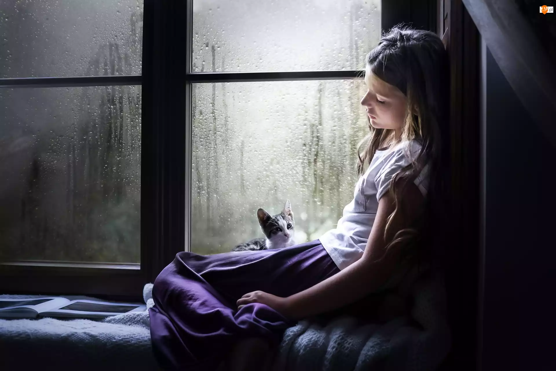 Okno, Dziewczynka, Kot, Deszcz