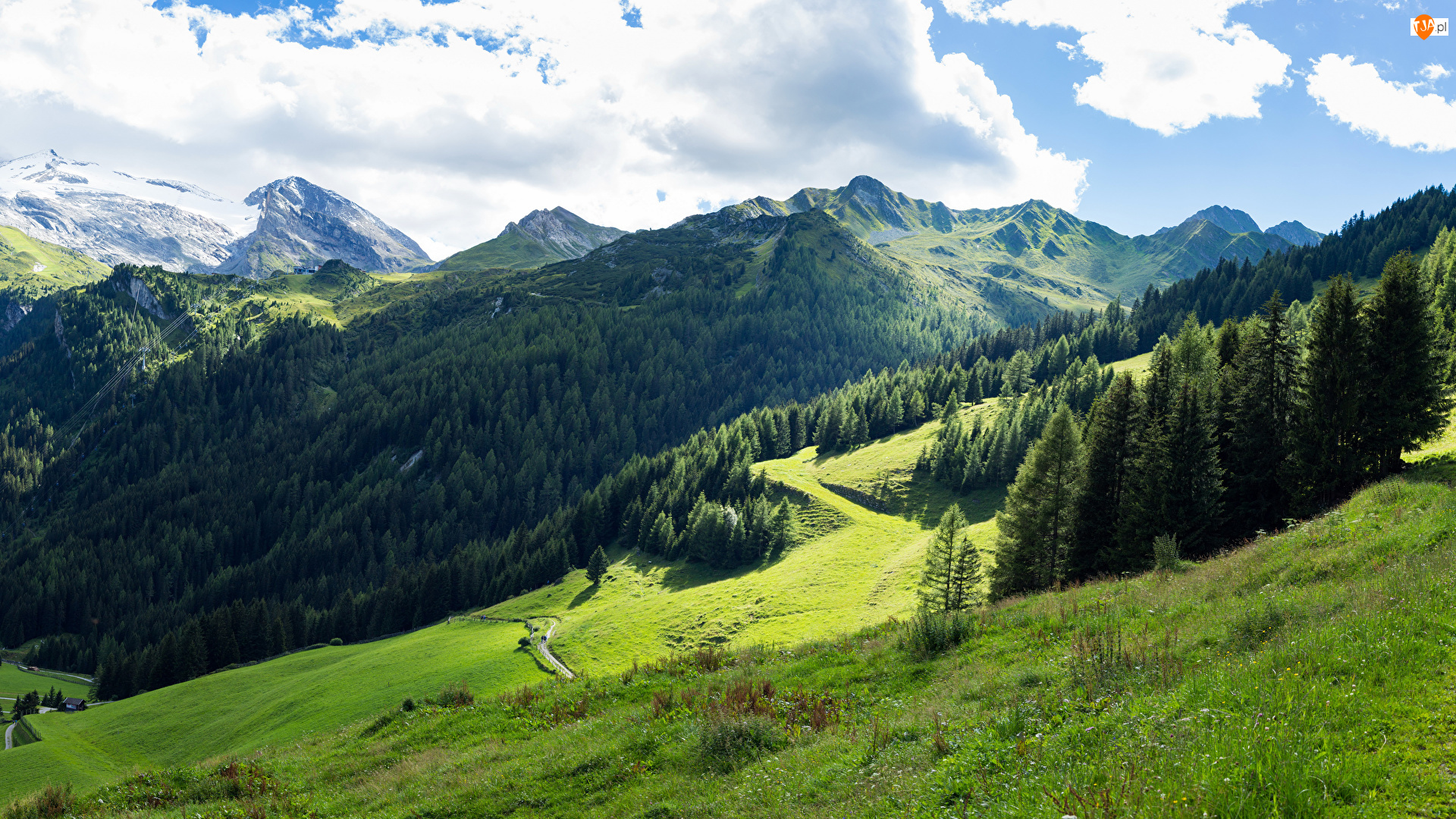 Trawa, Włochy, Las, Roślinność, Tyrol, Drzewa, Niebo, Góry Alpy