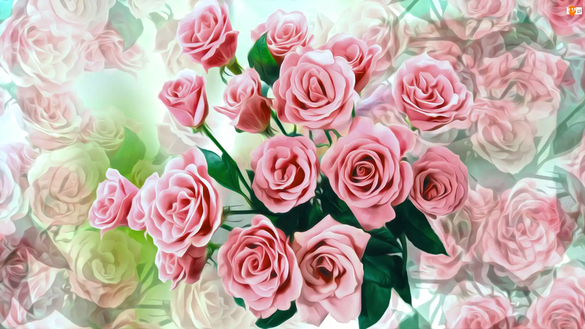Bukiet, Kolorowe tło, Róże, Kwiaty, 2D
