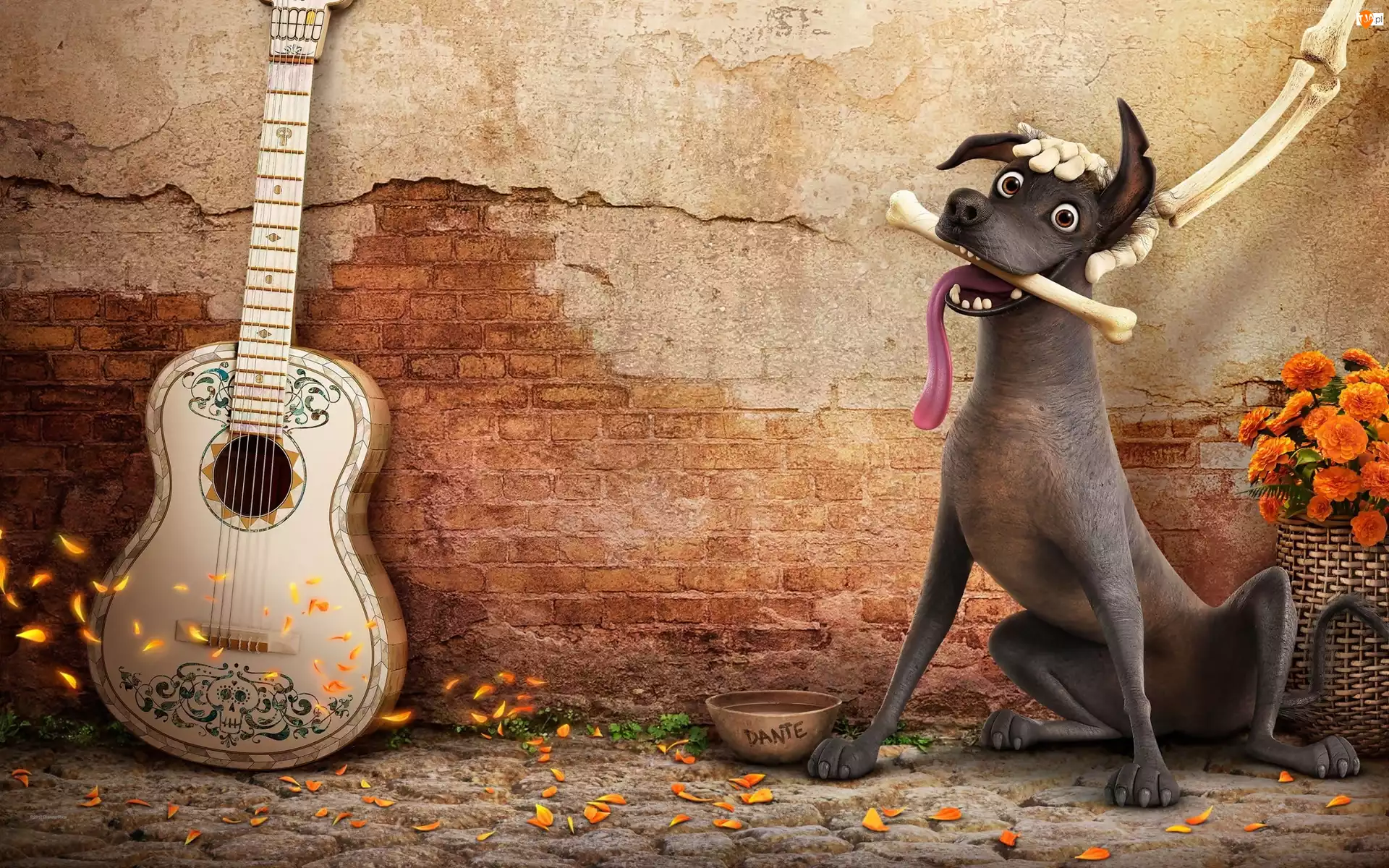 Gitara, Coco, Film animowany, Pies Dante
