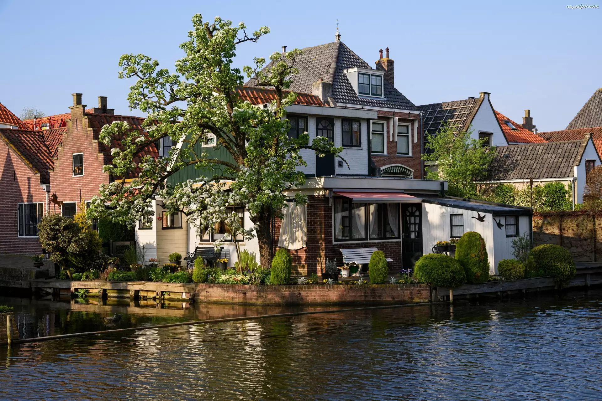 Rzeka, Miasto Edam, Holandia, Domy