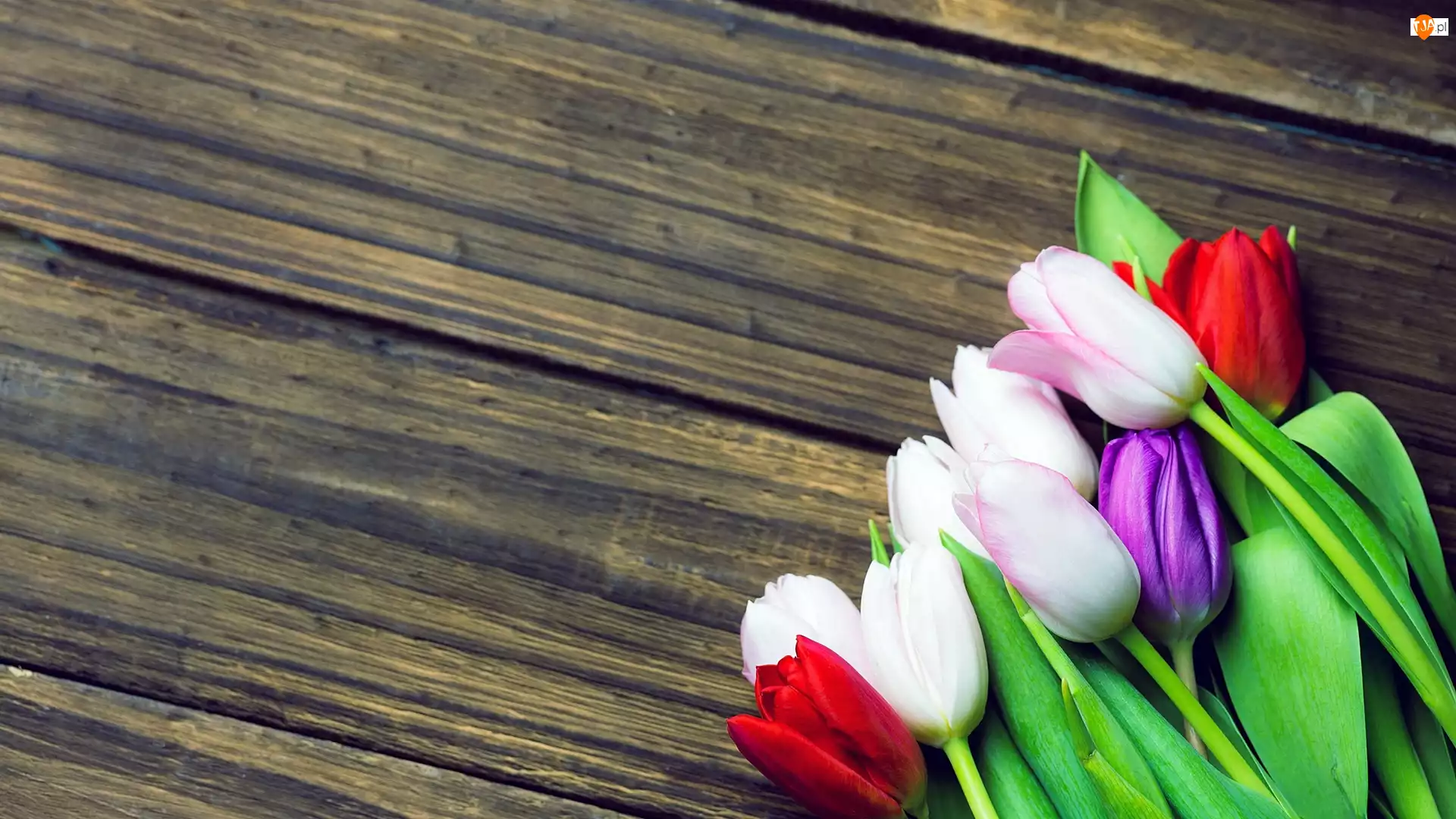 Deski, Kwiaty, Kolorowe, Tulipany