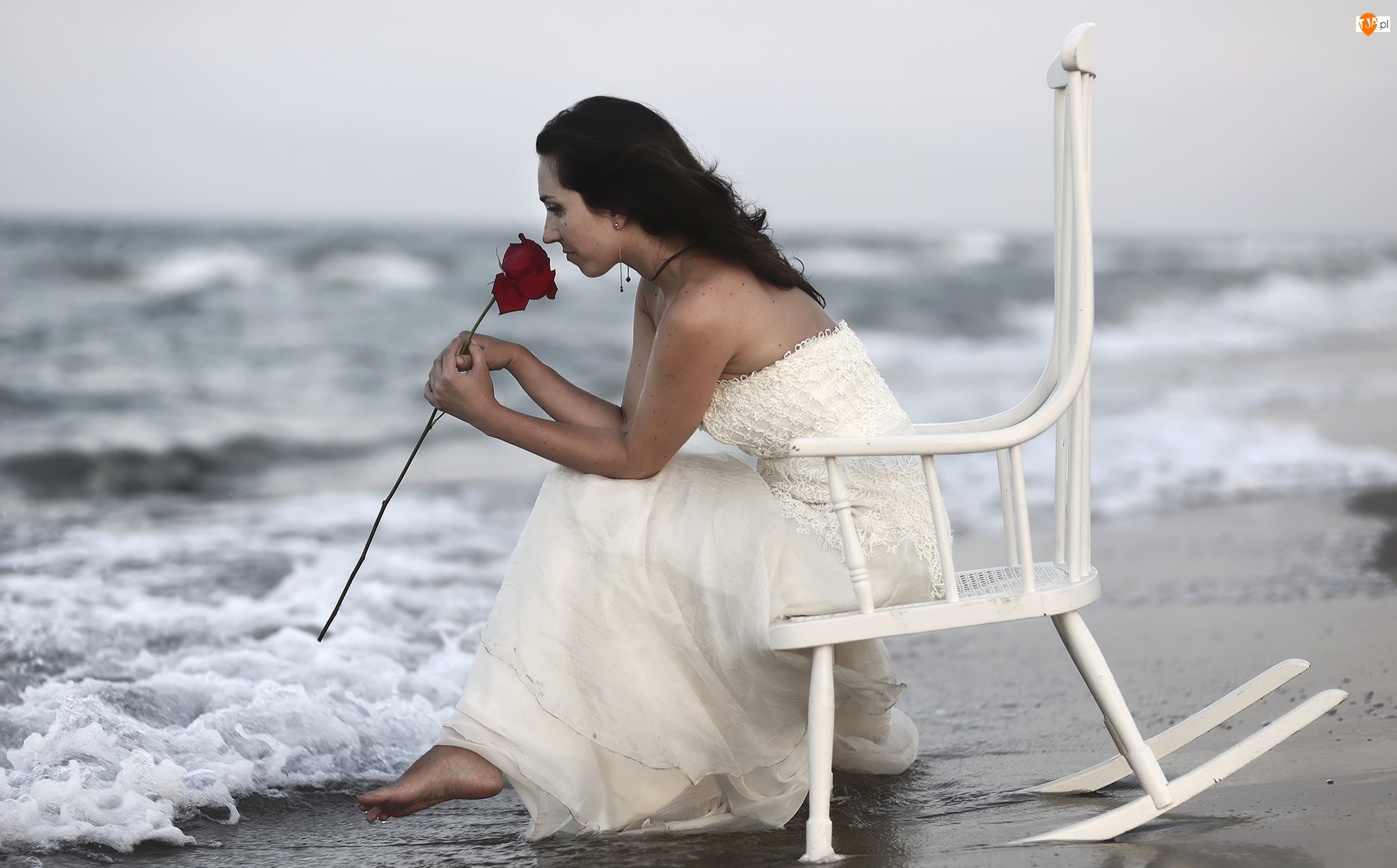 Morze, Kobieta, Róża, Krzesło
