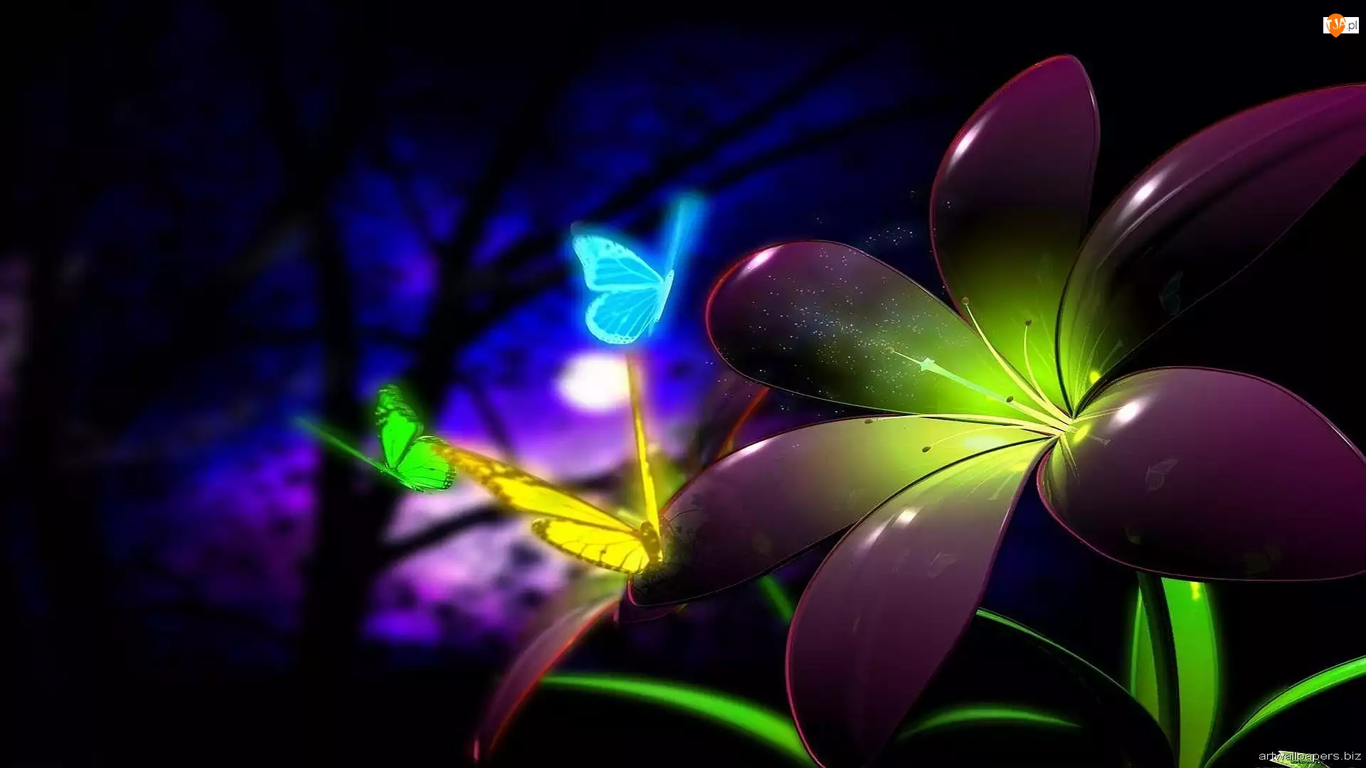 3D, Kwiat, Motyle, Neon