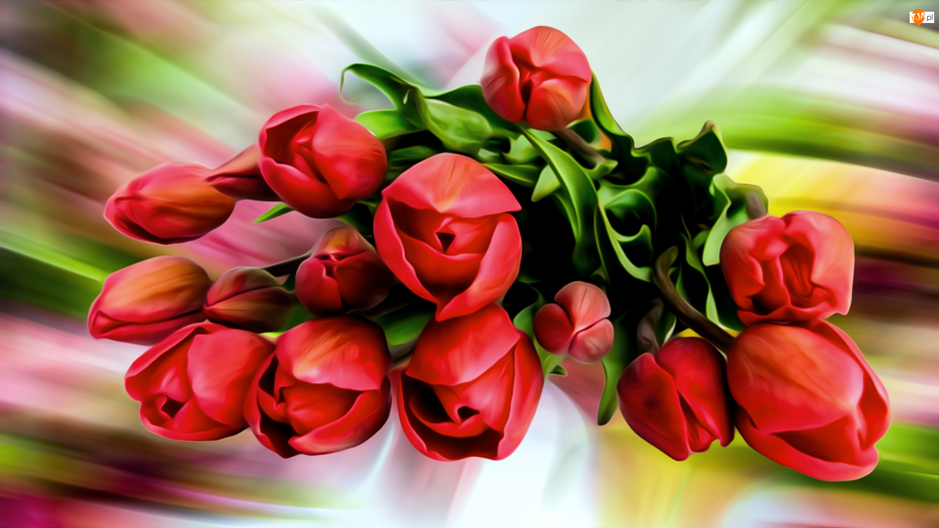 Grafika, Kwiaty, Czerwone, Tulipany