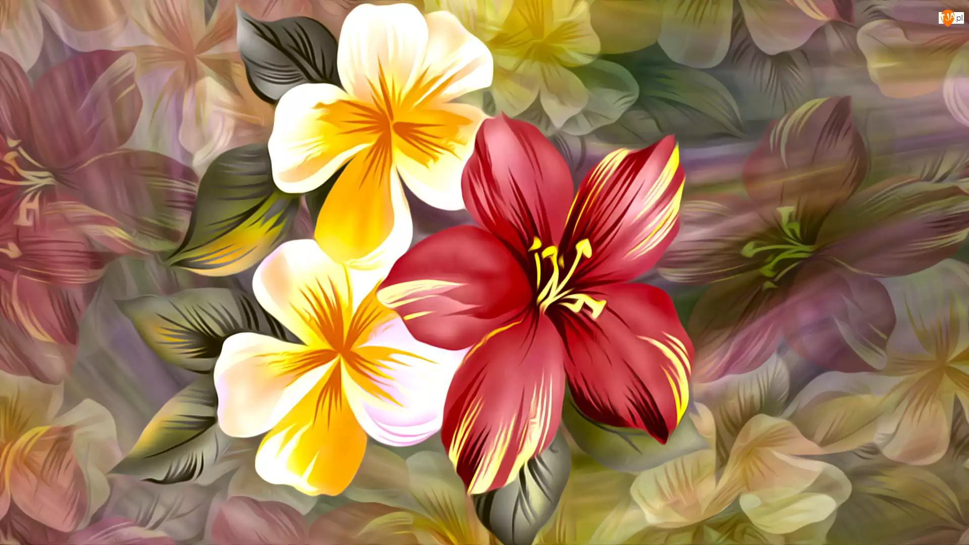 Kolorowe tło, Kwiaty, Grafika 2D