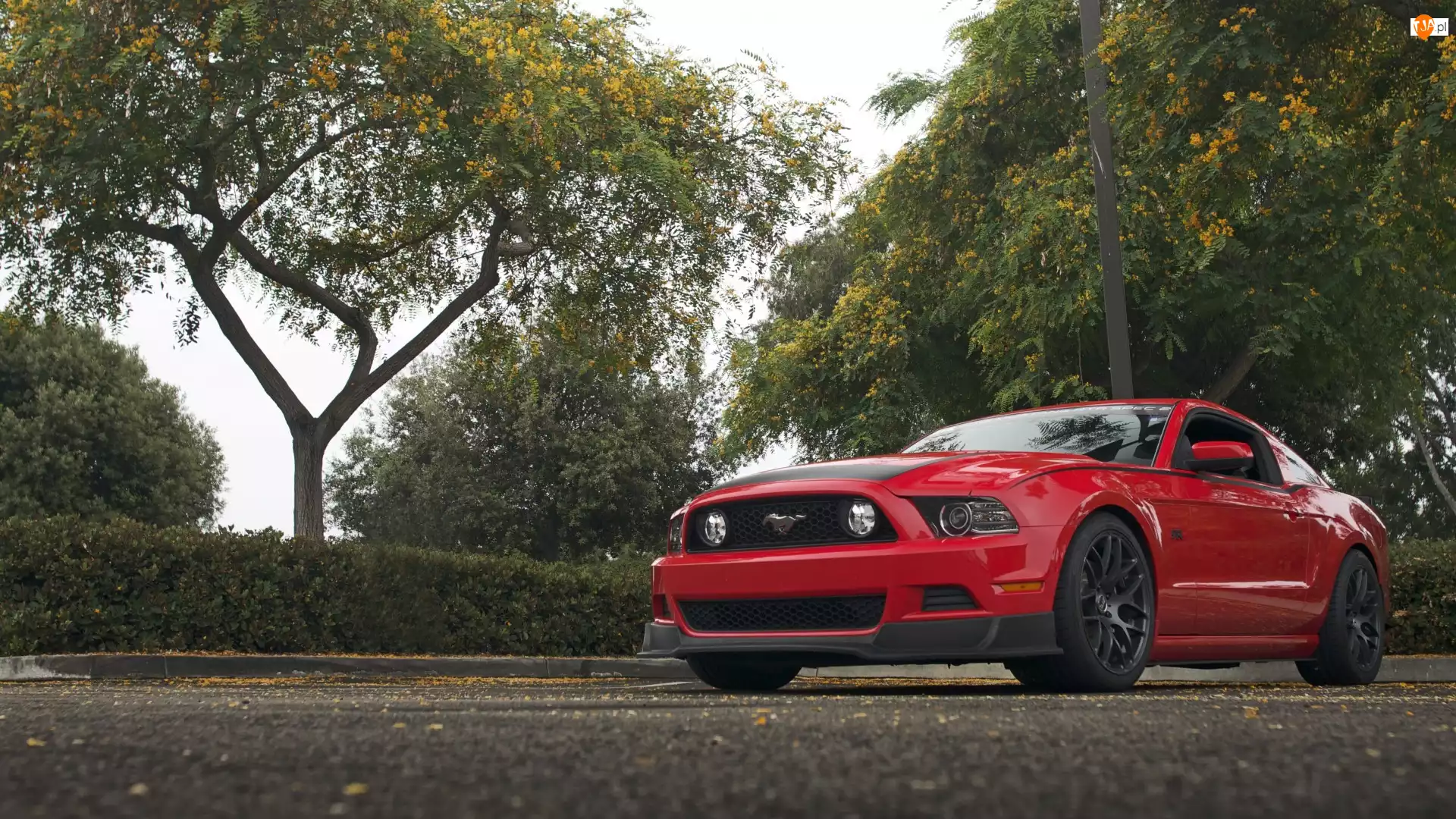 Czerwony, Ford Mustang, 2013