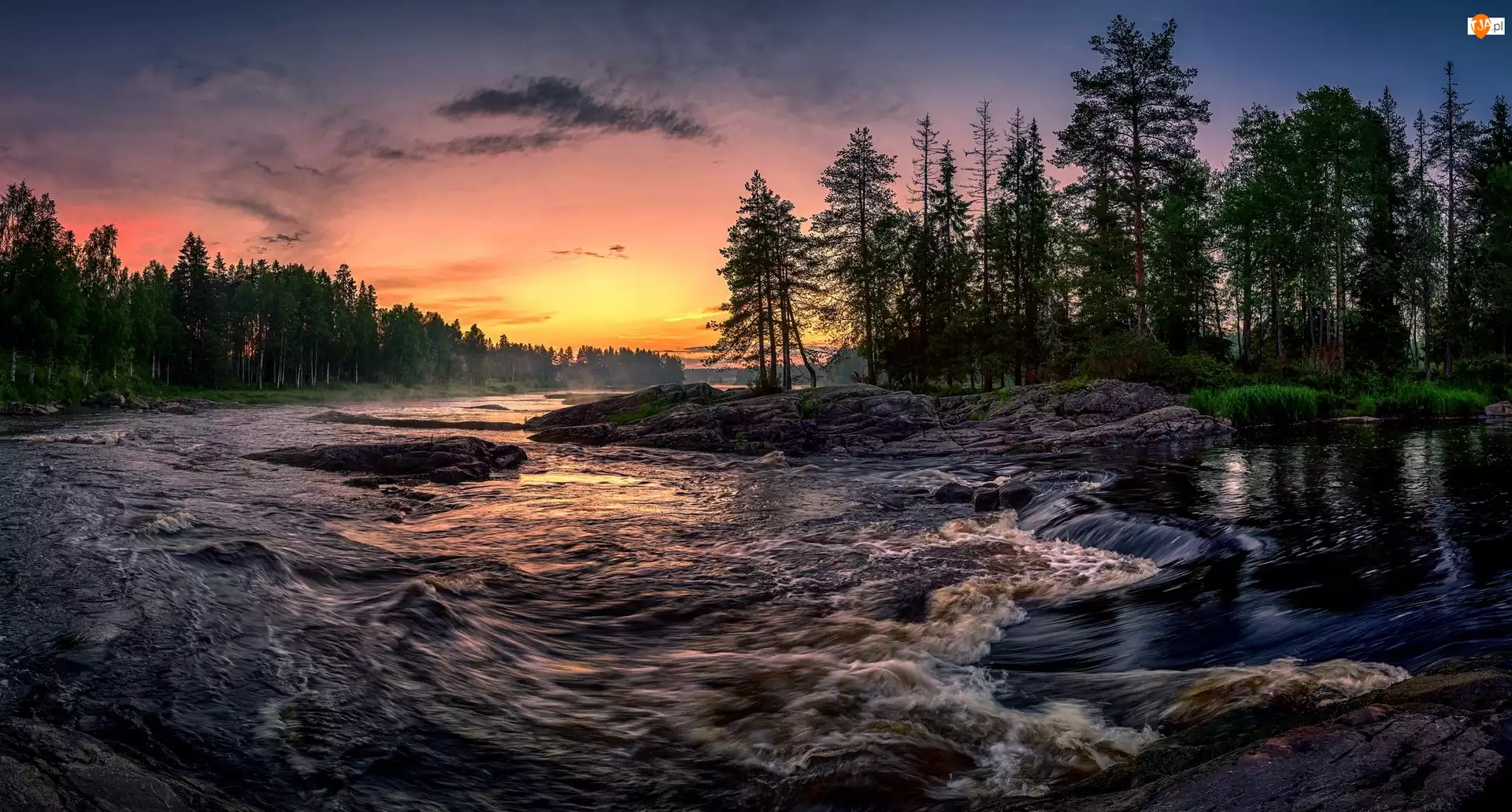 Las, Rzeka Kiiminkijoki, Finlandia, Drzewa, Teren Koiteli, Wschód słońca, Kamienie, Kiiminki