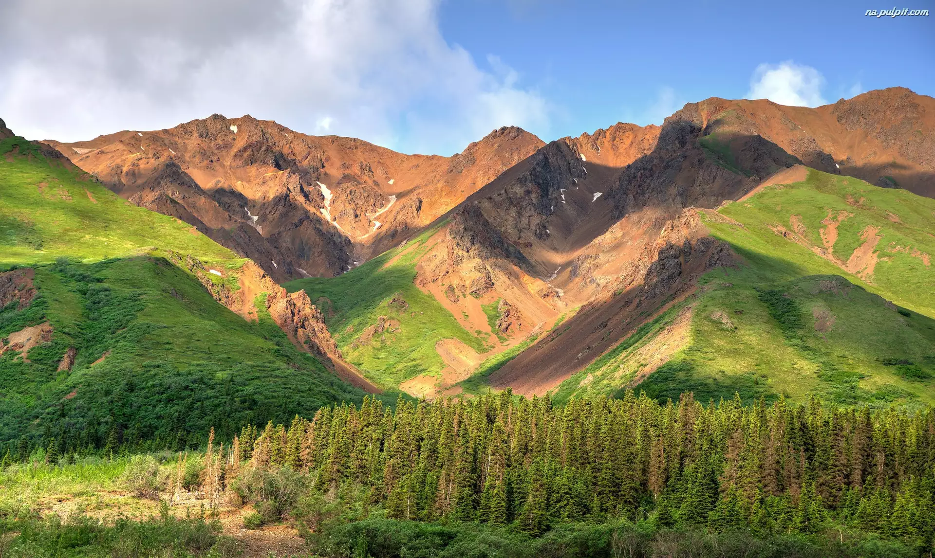 Stan Alaska, Stany Zjednoczone, Góry Alaska, Drzewa, Park Narodowy Denali, Kordyliery