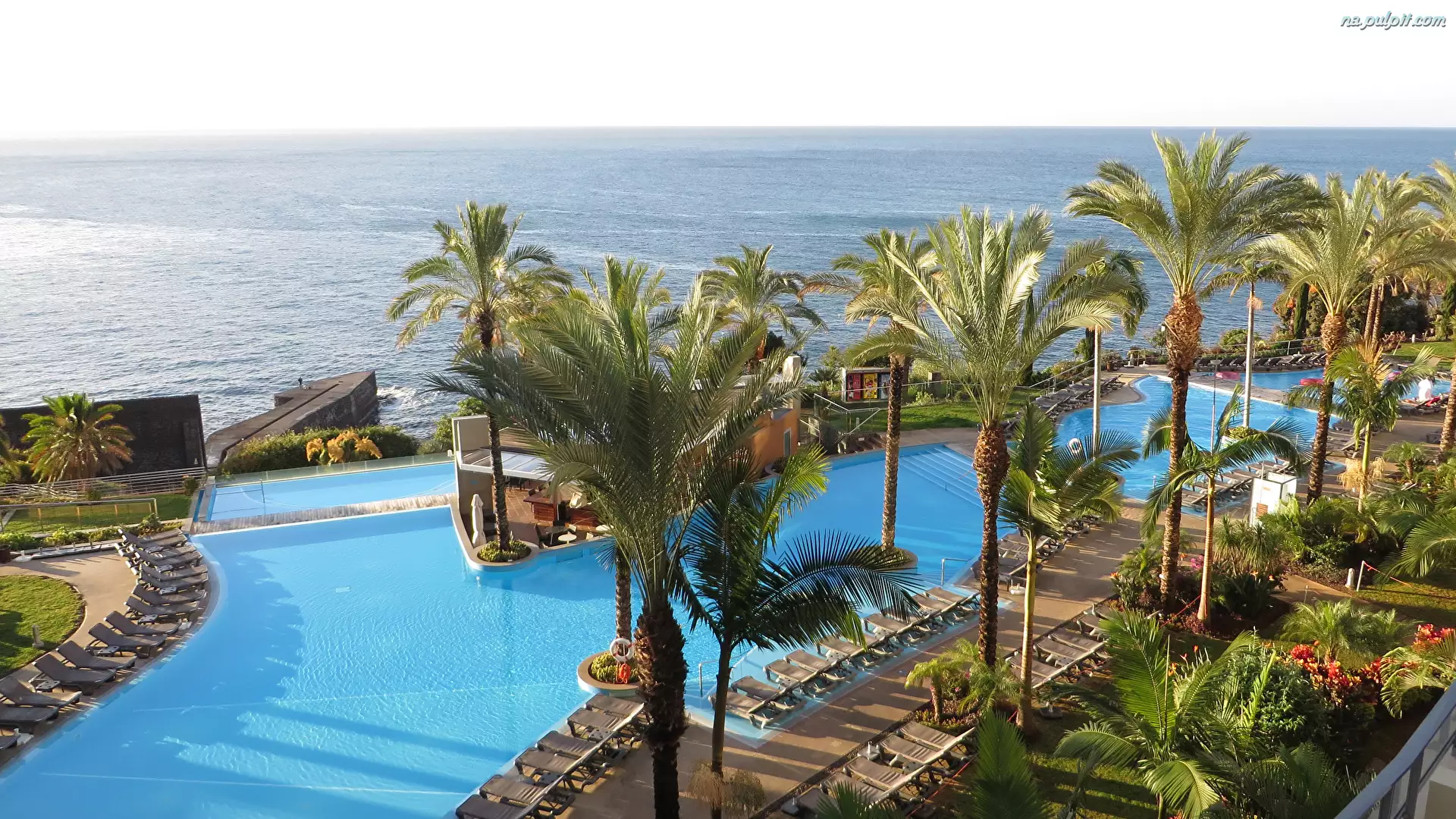 Wakacje, Miejscowość Funchal, Ocean Atlantycki, Palmy, Morze, Madera, Portugalia, Hotel Pestana Promenade, Basen