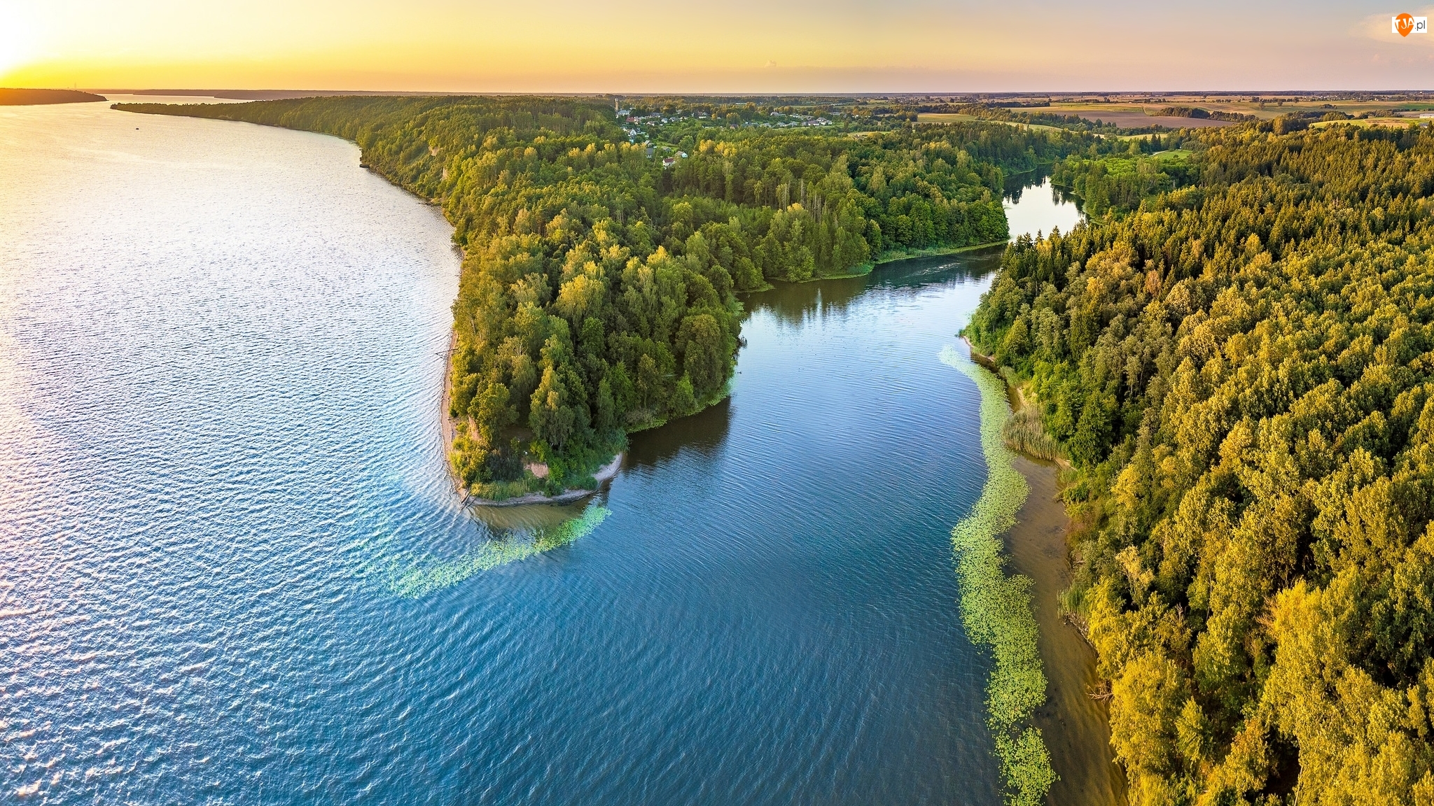 Kowno, Lasy, Park regionalny Kauno marios, Jezioro Kaunas Reservoir, Litwa