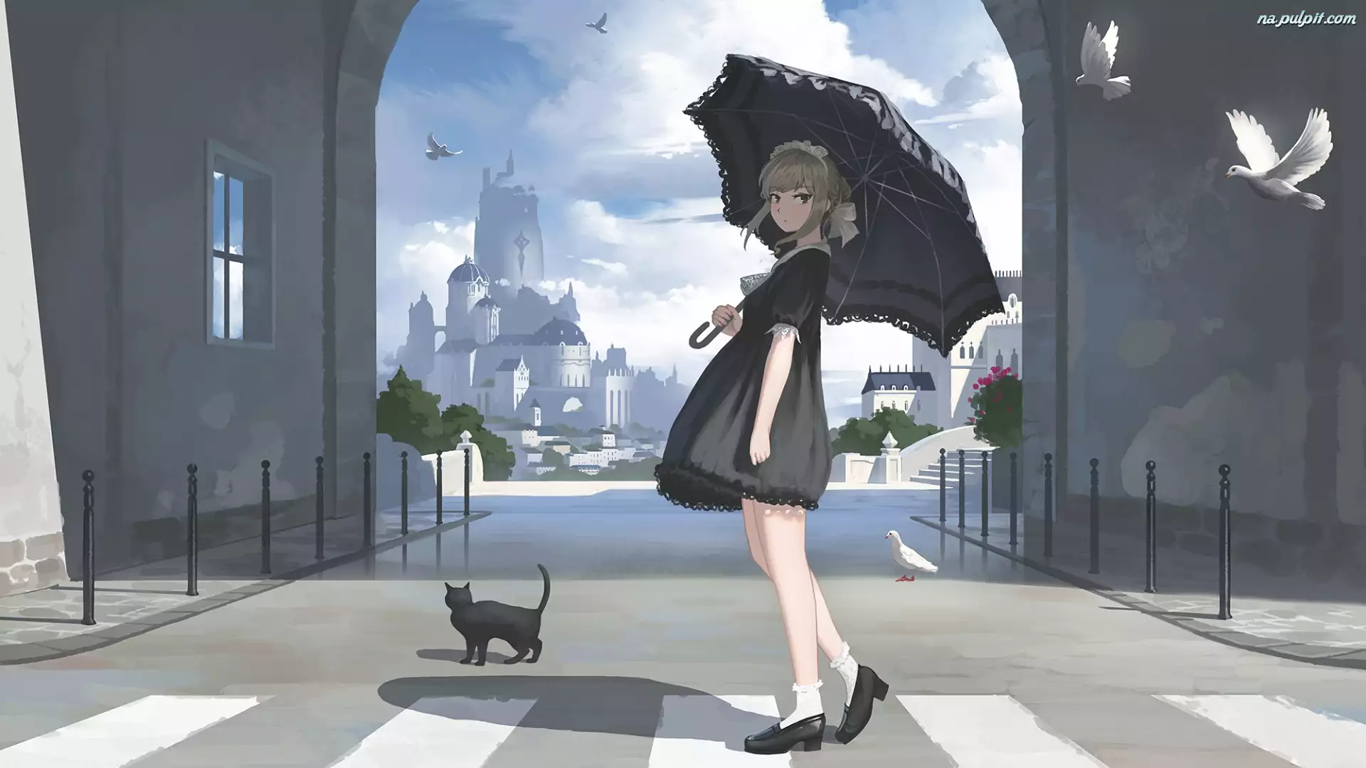 Parasolka, Ulica, Dziewczyna, Manga Anime, Kot