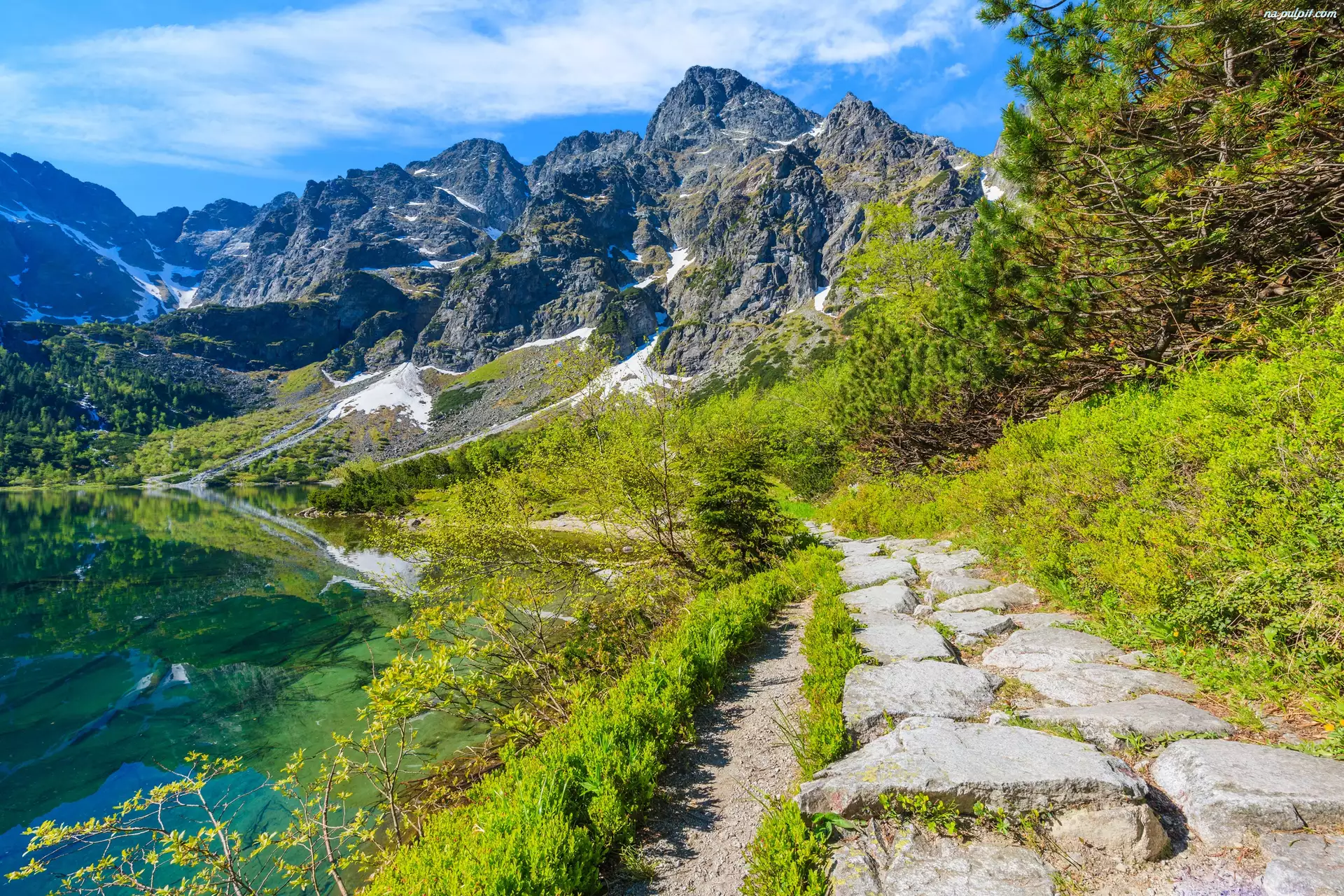 Góry Tatry, Polska, Jezioro Morskie Oko, Ścieżka, Mięguszowickie Szczyty, Drzewa